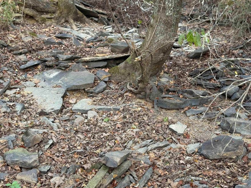 Beautiful unrestricted property with a beautiful black flat rock bottom wet weater creek.  Large timber with about a 1/2 acre open.   This would be a great place to build, have privacy in timber. The soils are lighter on this land, great for gardening or having livestock.   You are minutes from the city of Rosebud, Searcy, Conway located on a paved road.   There is a area that can be built on close to the road but a very nice large area with a slight slope but not to steep to build about anywhere beyond the creek.  The creek are is about 17 % of this property you could design a beautiful area  Great hunting area for deer and turkey