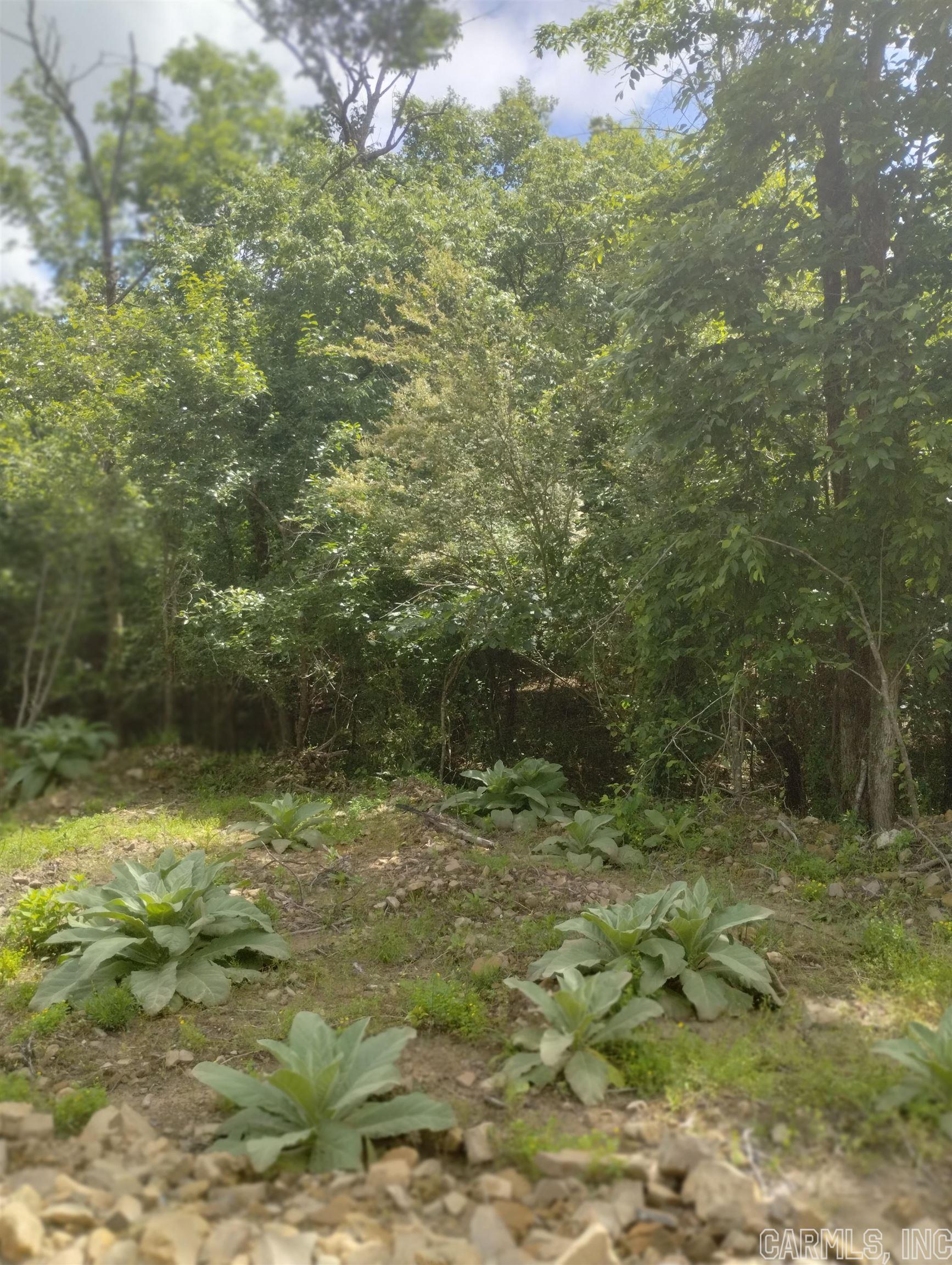 PERFECT LOCATION for your site-built cabin or forever hmestead close to Centerpoint Schools. Water at the road.