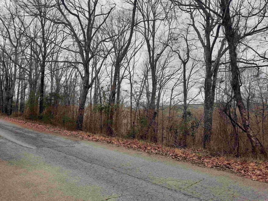 Discover the perfect getaway on this 10-acre wooded property. Nestled in nature, in the Ozark Mountains of North Central Arkansas, this offers potential for stunning views once cleared or keep the beautiful tress for privacy. Several building spots ideal for building a home or great for weekend getaway, it's a versatile piece of property waiting for your vision. Whether you're a hunter looking for your next adventure or someone seeking a serene retreat, this land has it all. Don't miss out on this unique opportunity!