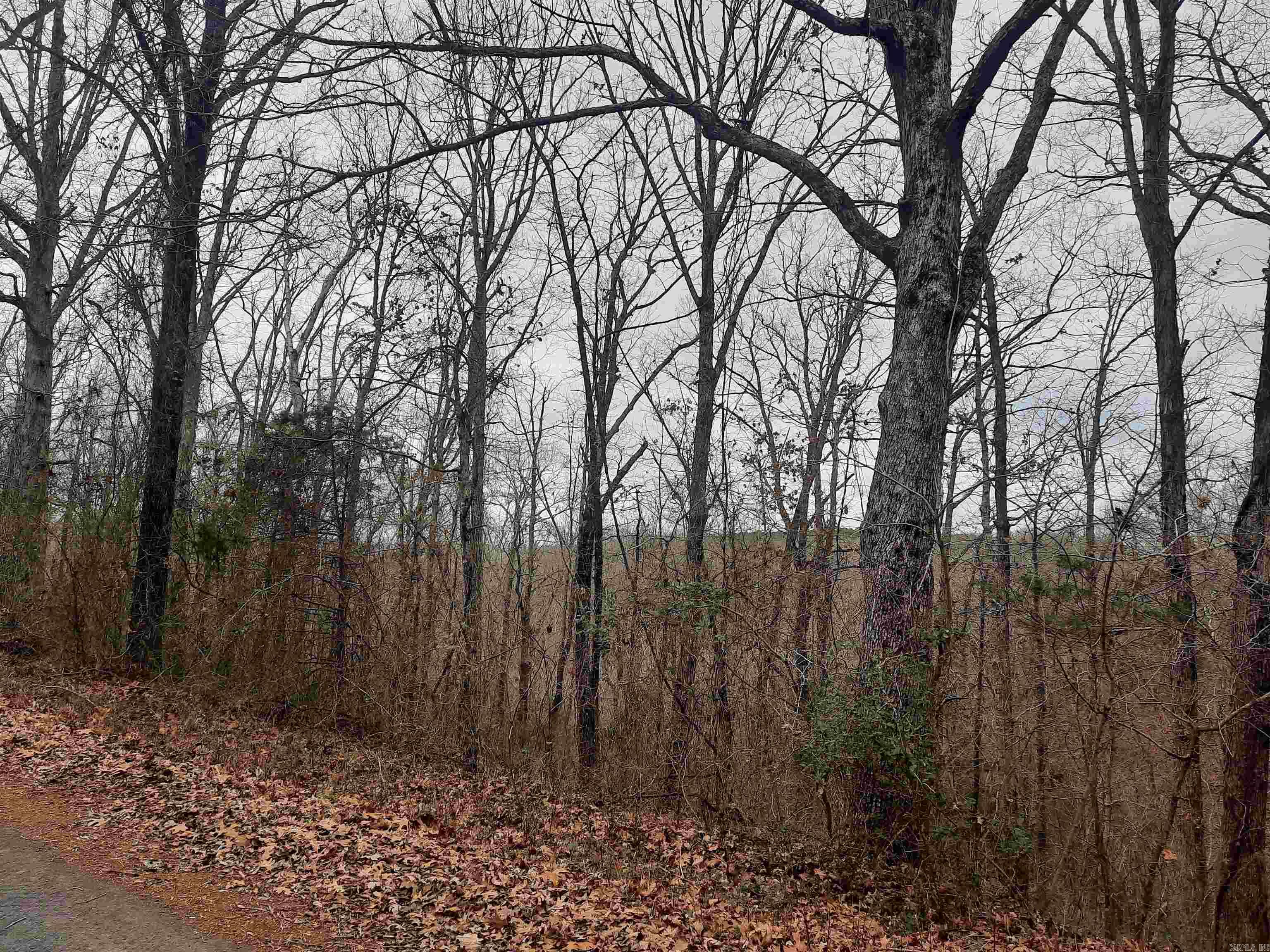 Metes & Bounds - Land