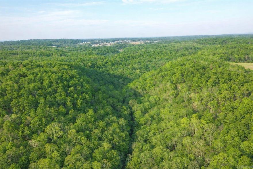 This awesome private tract has much to offer to homesteaders, hunters, or those who just want to get away. Privacy and seclusion are the heartbeats of the beautiful mountain tract. There are endless opportunities with this piece of land!!! Large post oak trees are scattered throughout the land and make for a park-like setting. This is an ideal location for the homesteader; gently laying land with rolling topography, ample trees for wood.