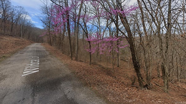 19 WILDCAT LN, HOLIDAY ISLAND, AR 72631 - Image f95e0201599af7c88c499fc969b65f2e/2469906558