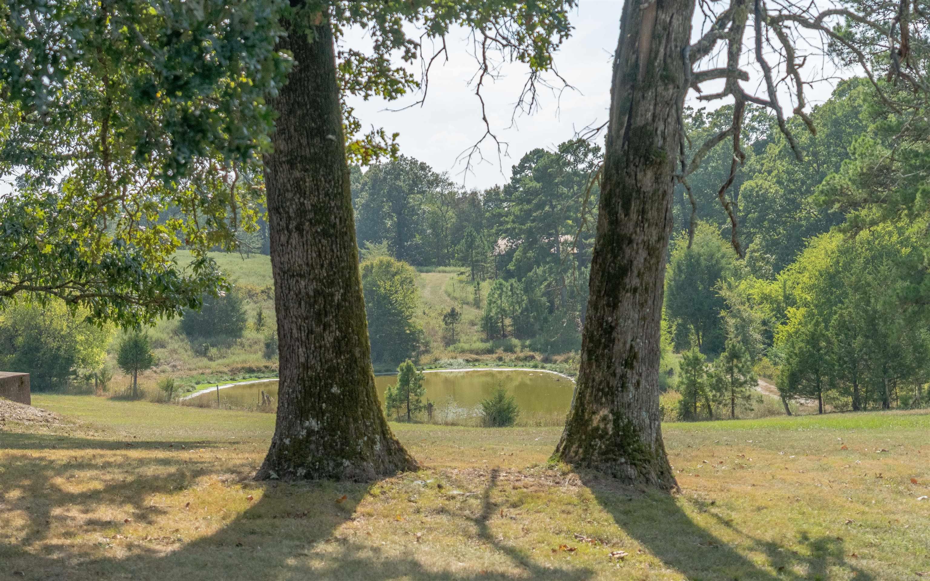 Metes & Bounds - Farm