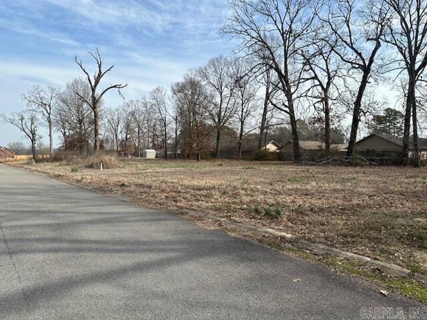 Come build your dream home in a great subdivision on the outskirts of Lonoke. Big lots with mature trees, underground utilities. NO MOBILES ~ See Bill of Assurance