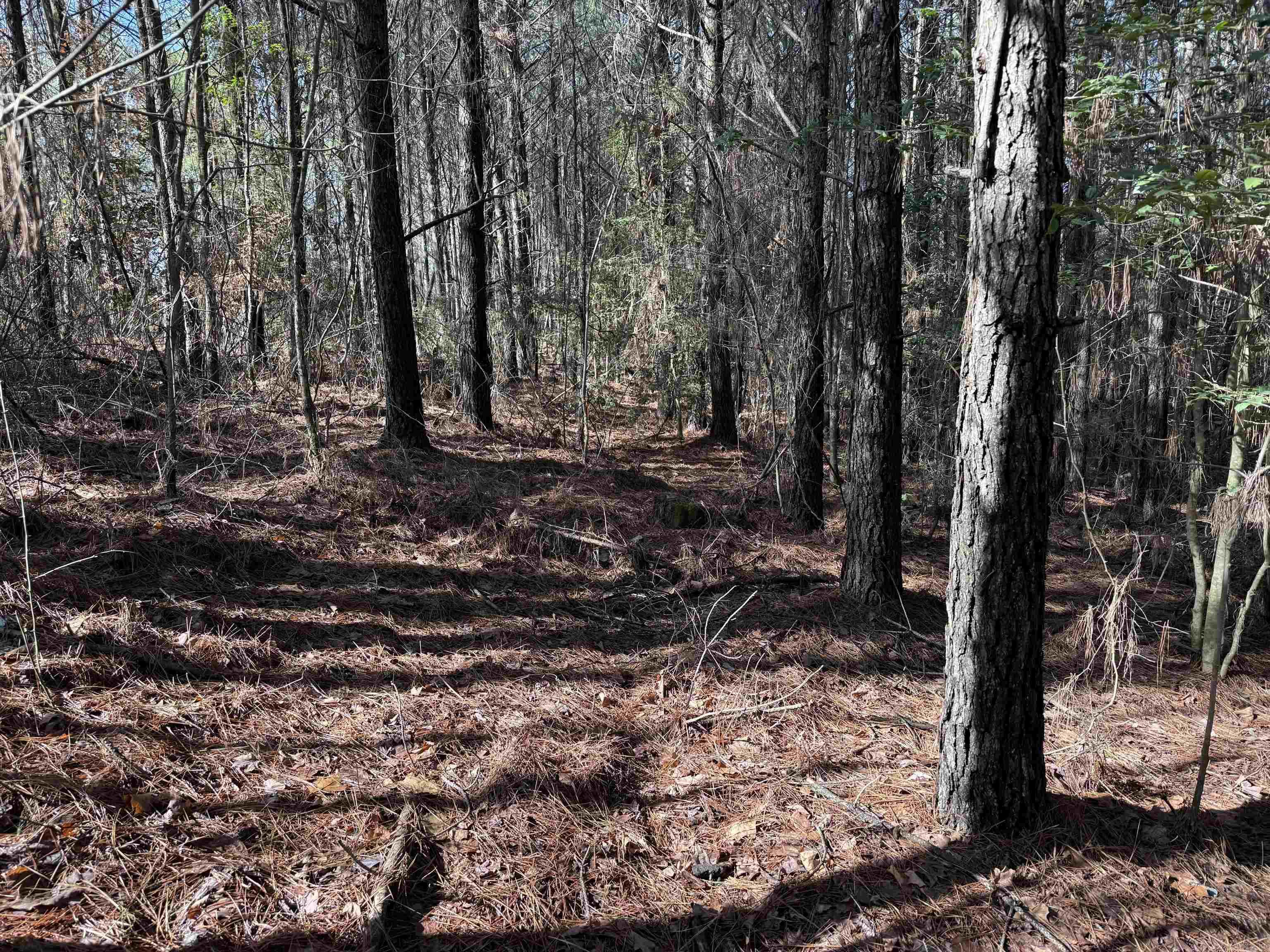 2 ACRES on the DOORSTEP of the BEAUTIFUL COSSATOT RIVER! Easy access to SANDBAR CAMPGROUND and COSSATOT FALLS CAMPGROUND. Leave your property on you're ATV and the roads are numerous for you to travel! Amazing Views to be had with minimal tree clearing! Rural Water and Electric are on the property! NOW'S THE TIME TO INVEST before this area starts developing! This is an excellent Property for accessing the many roads and trails!