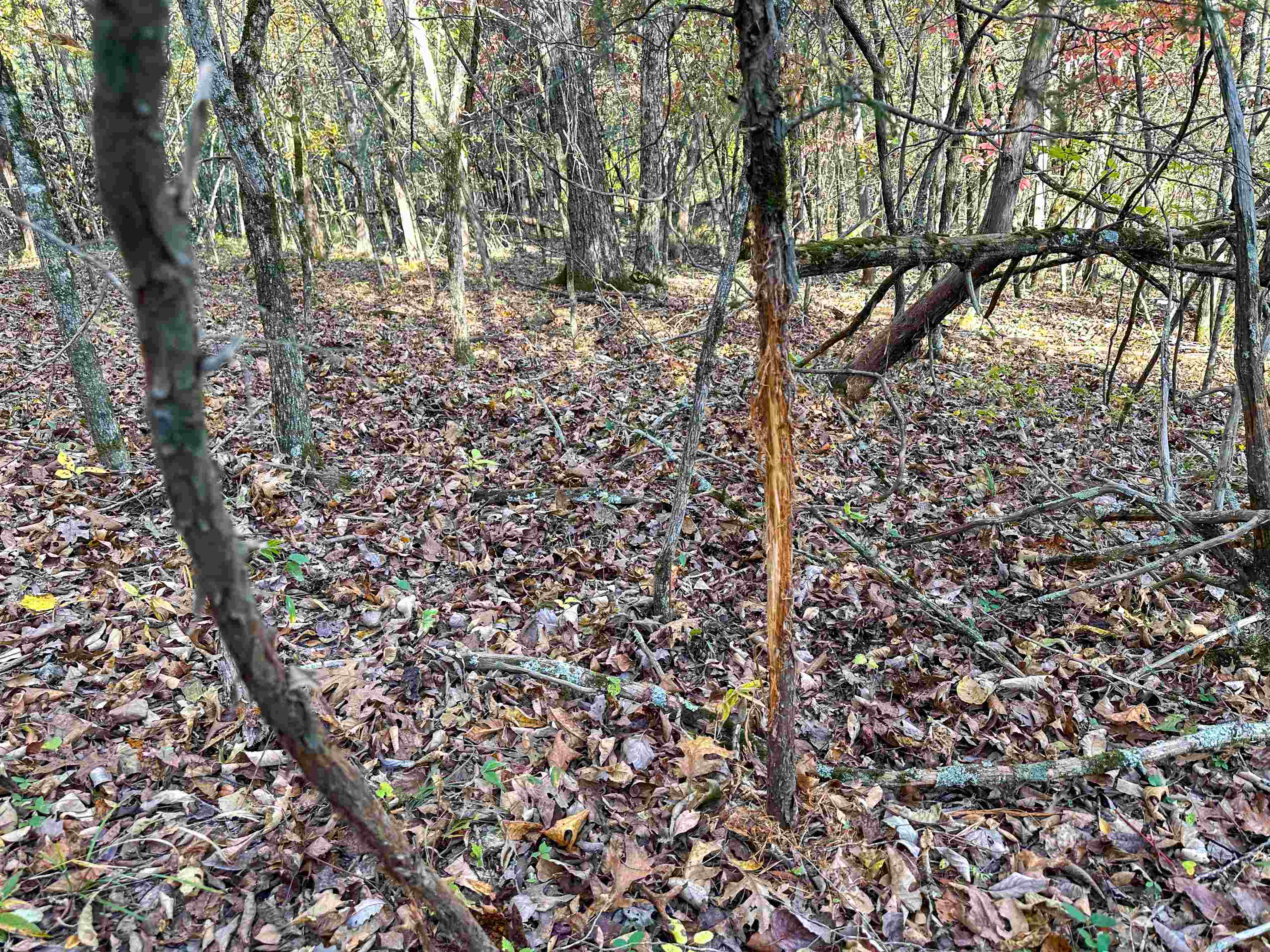 Metes & Bounds - Farm