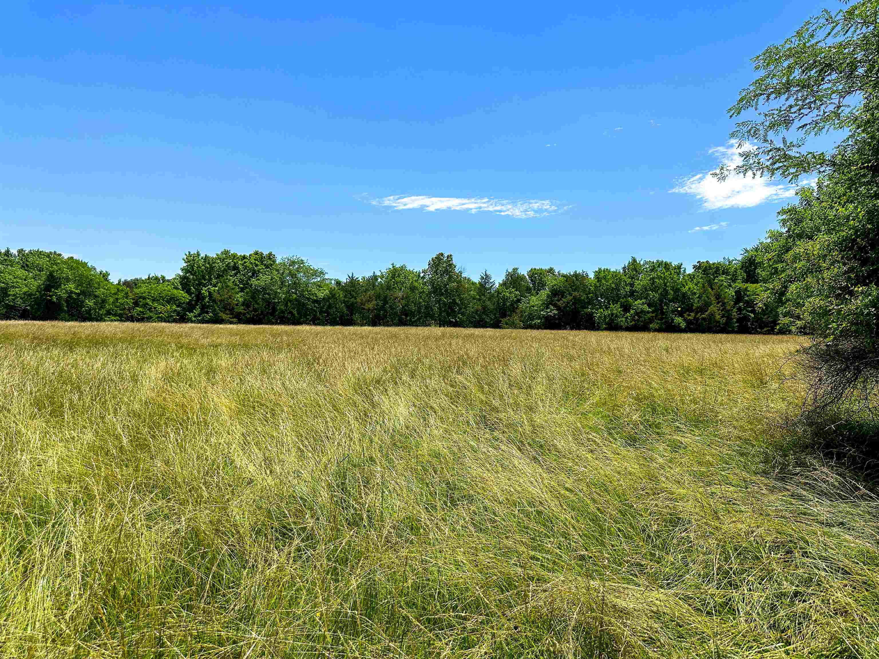 Metes & Bounds - Farm