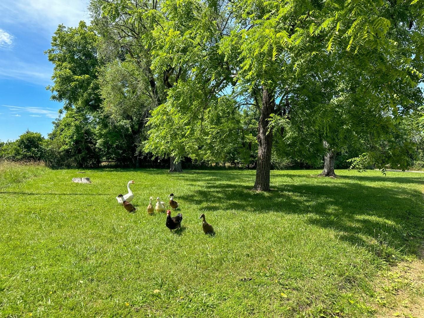 Metes & Bounds - Farm