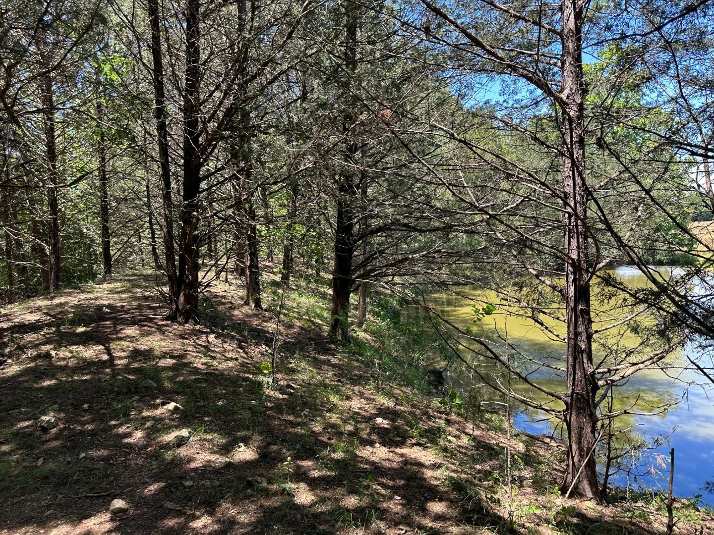 Metes & Bounds - Farm