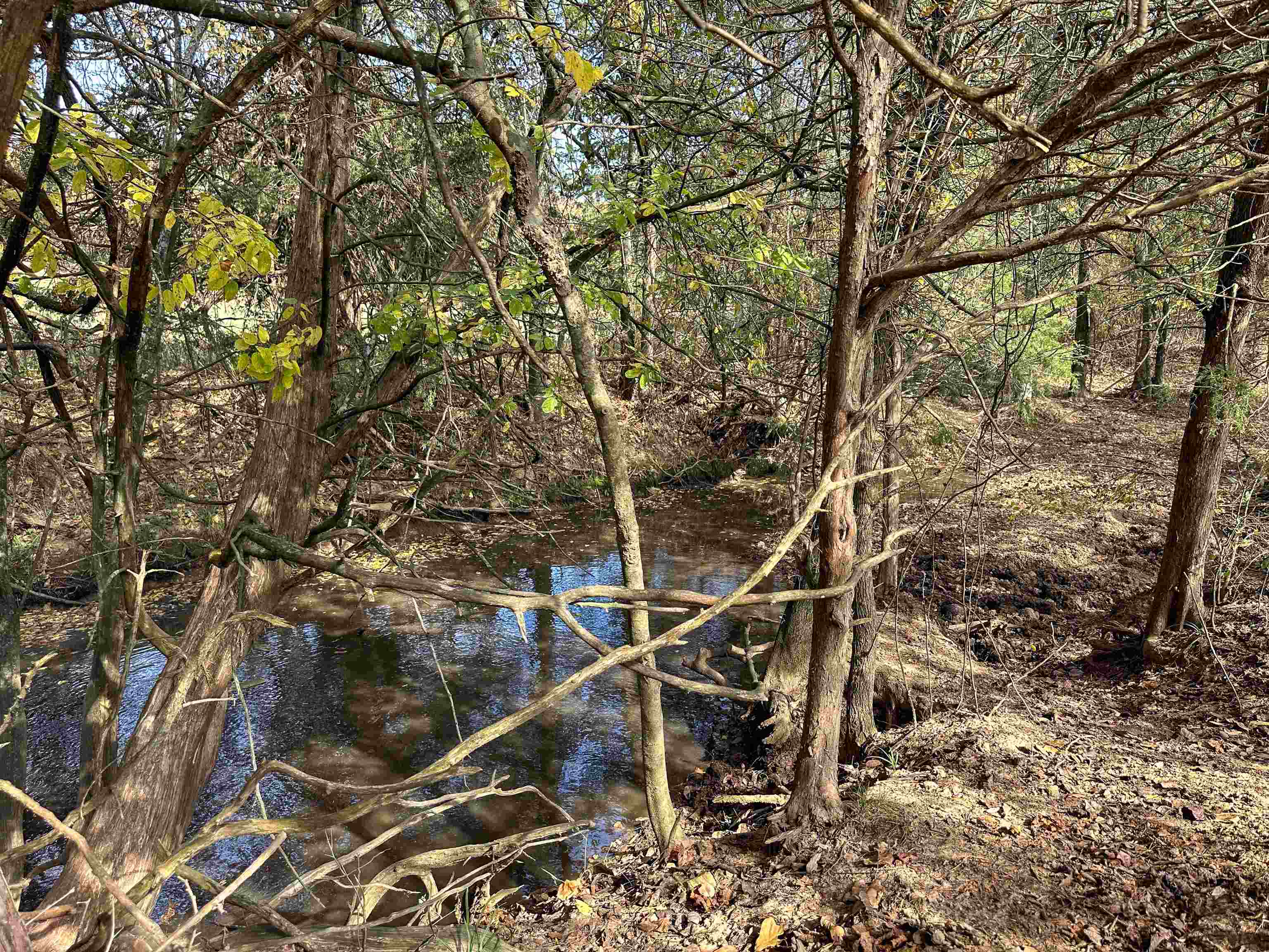 Metes & Bounds - Farm