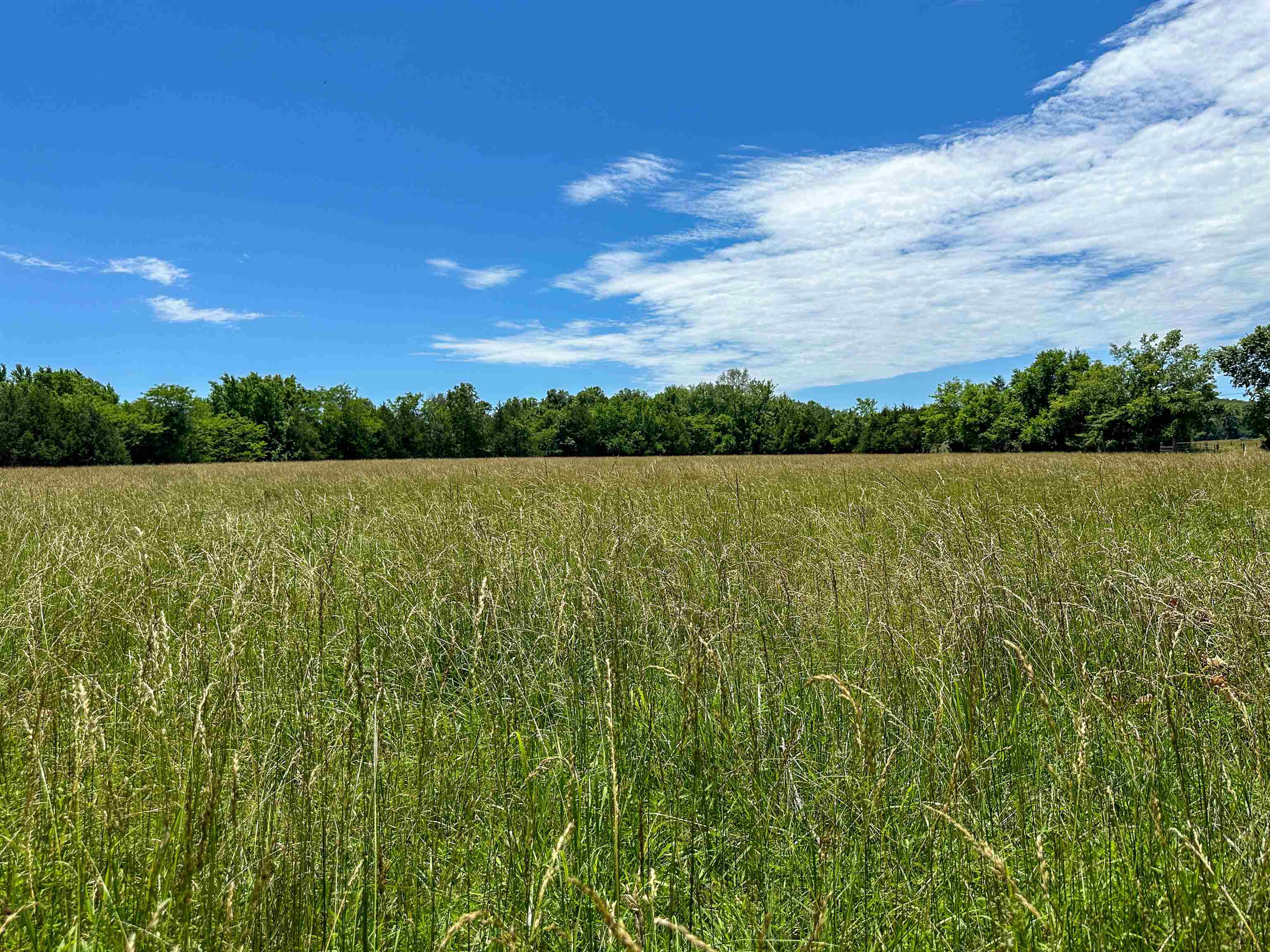 Metes & Bounds - Farm