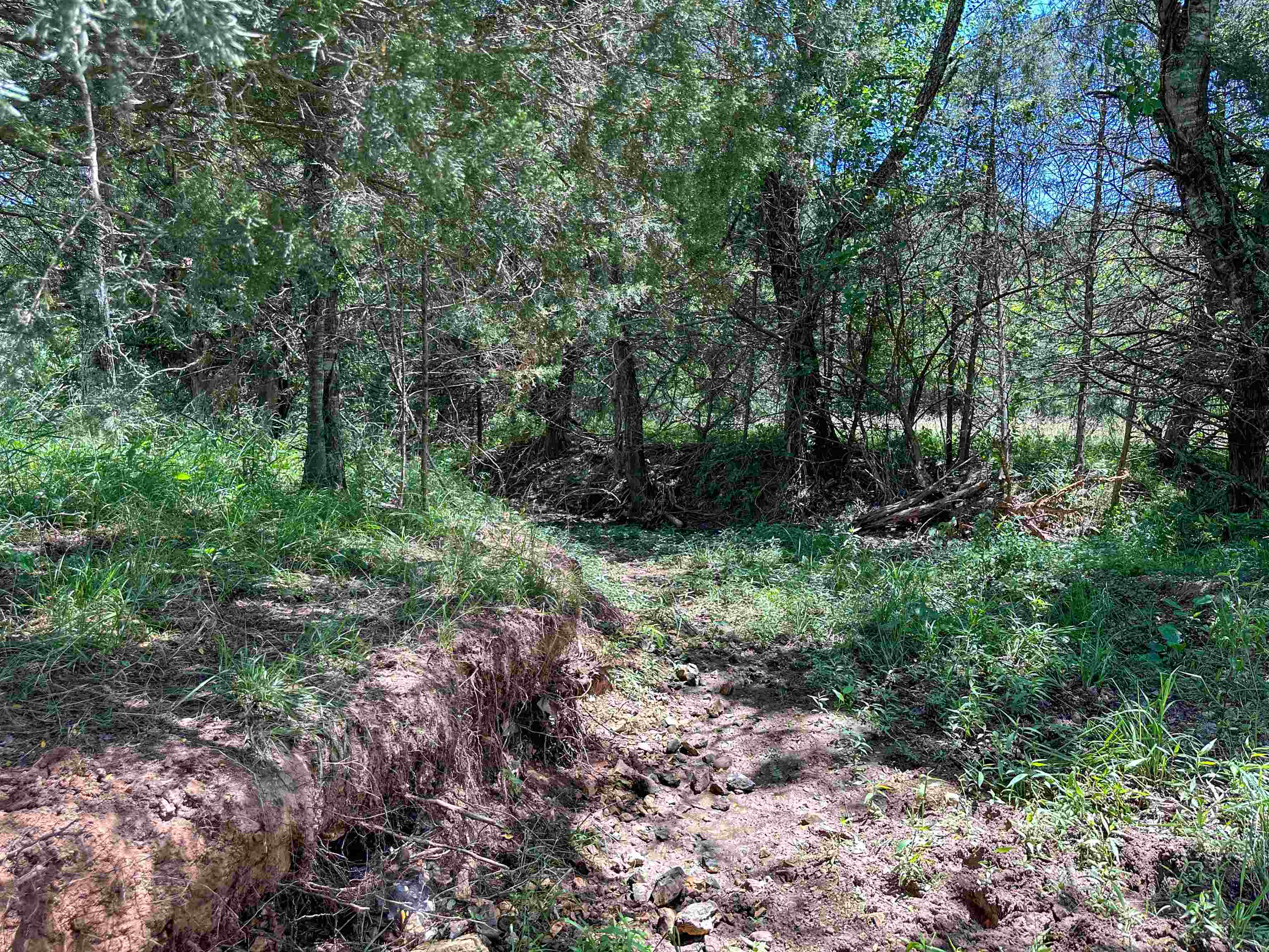 Metes & Bounds - Farm