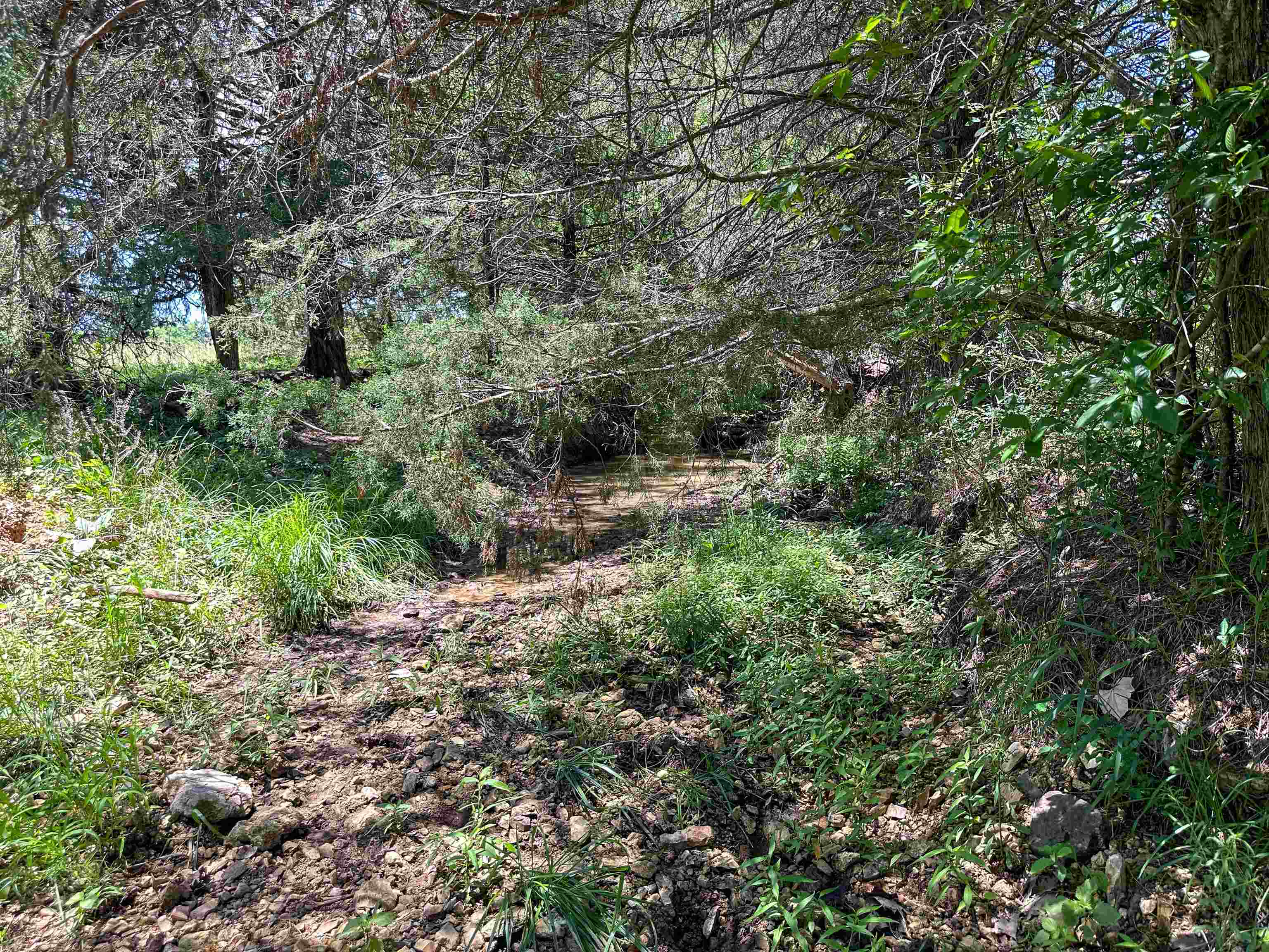 Metes & Bounds - Farm