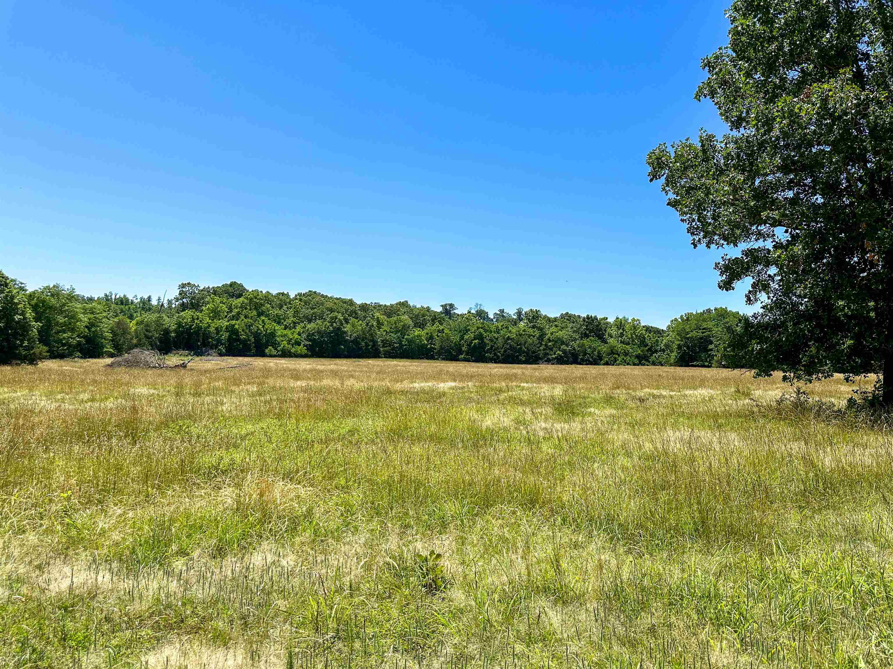 Metes & Bounds - Farm