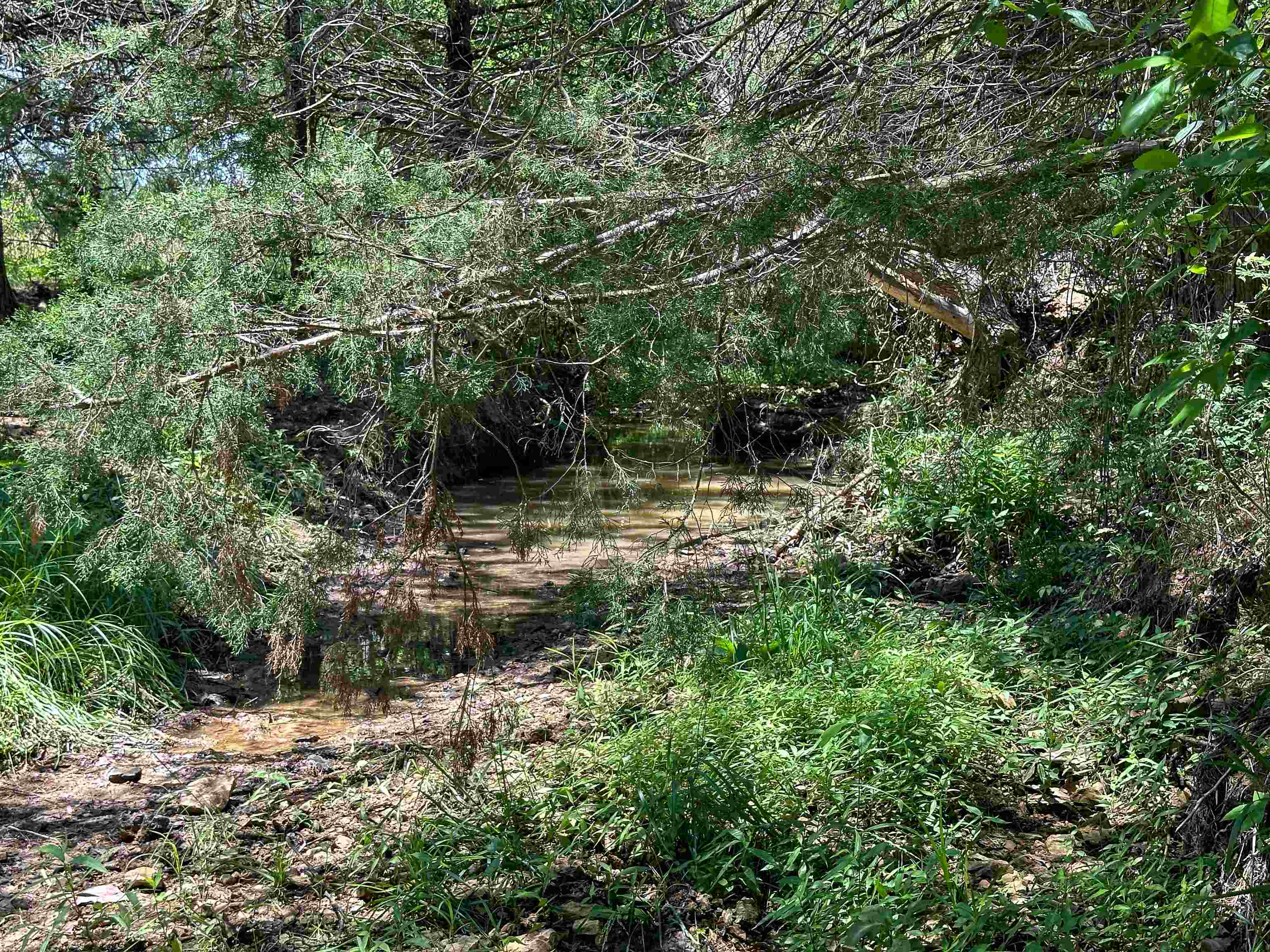 Metes & Bounds - Farm