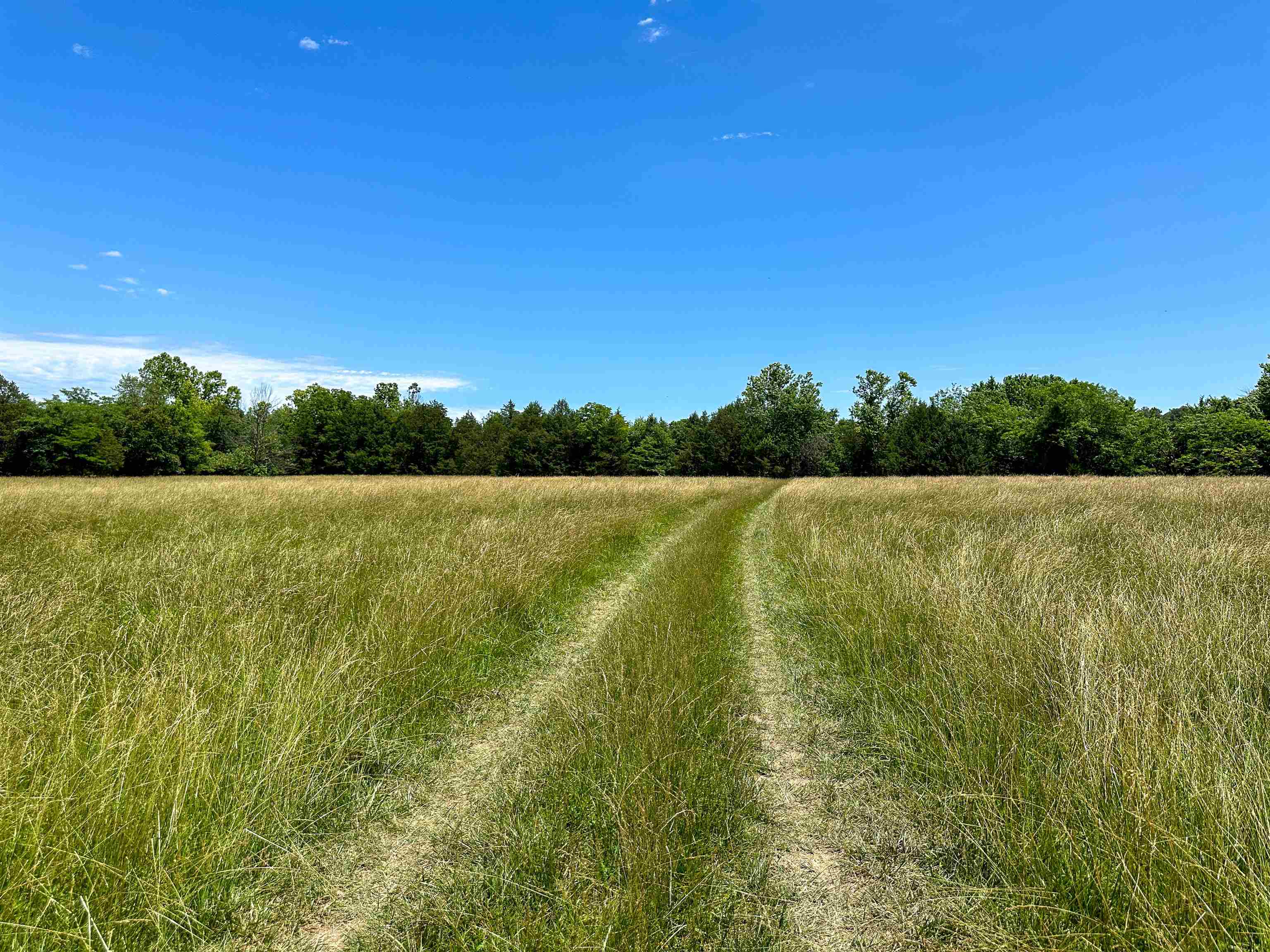 Metes & Bounds - Farm