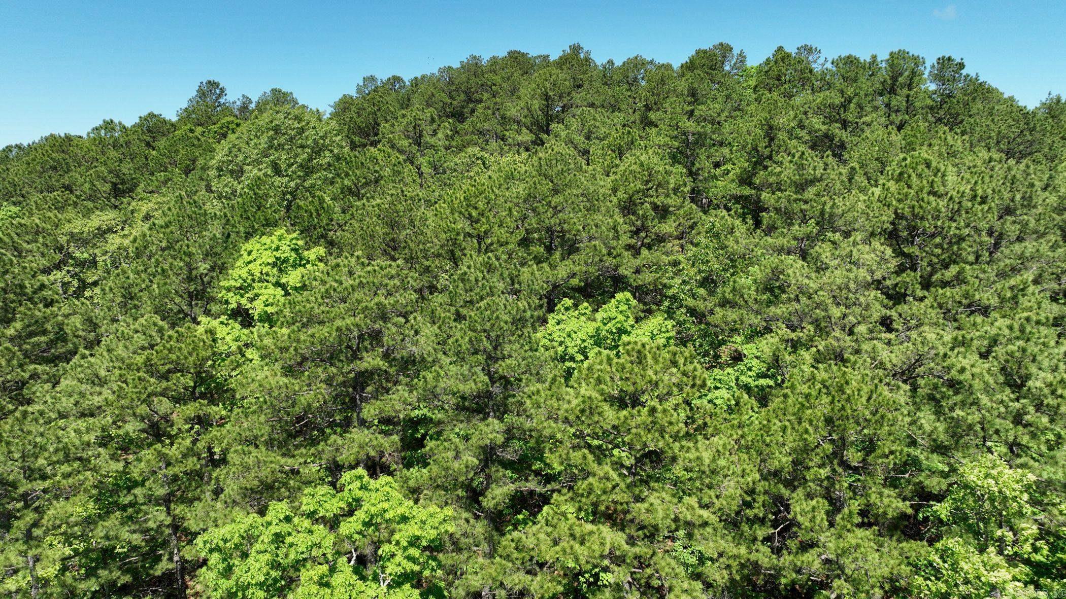 Nestled in the heart of the renowned Wolfpen ATV trails, this wooded 9.98-acre parcel offers the perfect blend of adventure and tranquility. Whether you're looking to build your dream getaway or simply park your RV, this property provides a versatile and scenic retreat. Private, and with no restrictions, the possibilities are endless—from a rustic cabin to a private camping escape. The terrain is mountain-like, rich with natural beauty and teeming with wildlife, offering a true back-to-nature experience. Additional adjoining lots are also available if you're looking to expand your slice of paradise. Taxes will need to be assessed after purchase due to subdivision of existing parcel.