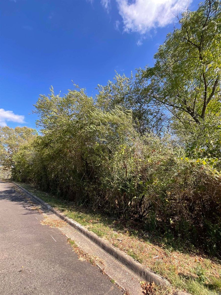 This wooded lot offers multiple opportunities--access to daily necessities with shopping and banking nearby and also conveniently located near reputable hospitals and medical facilities ensuring prompt access to healthcare. This area offers convenient access to major roads and highways, and is not far from all things that make Hot Springs a great place to call home.