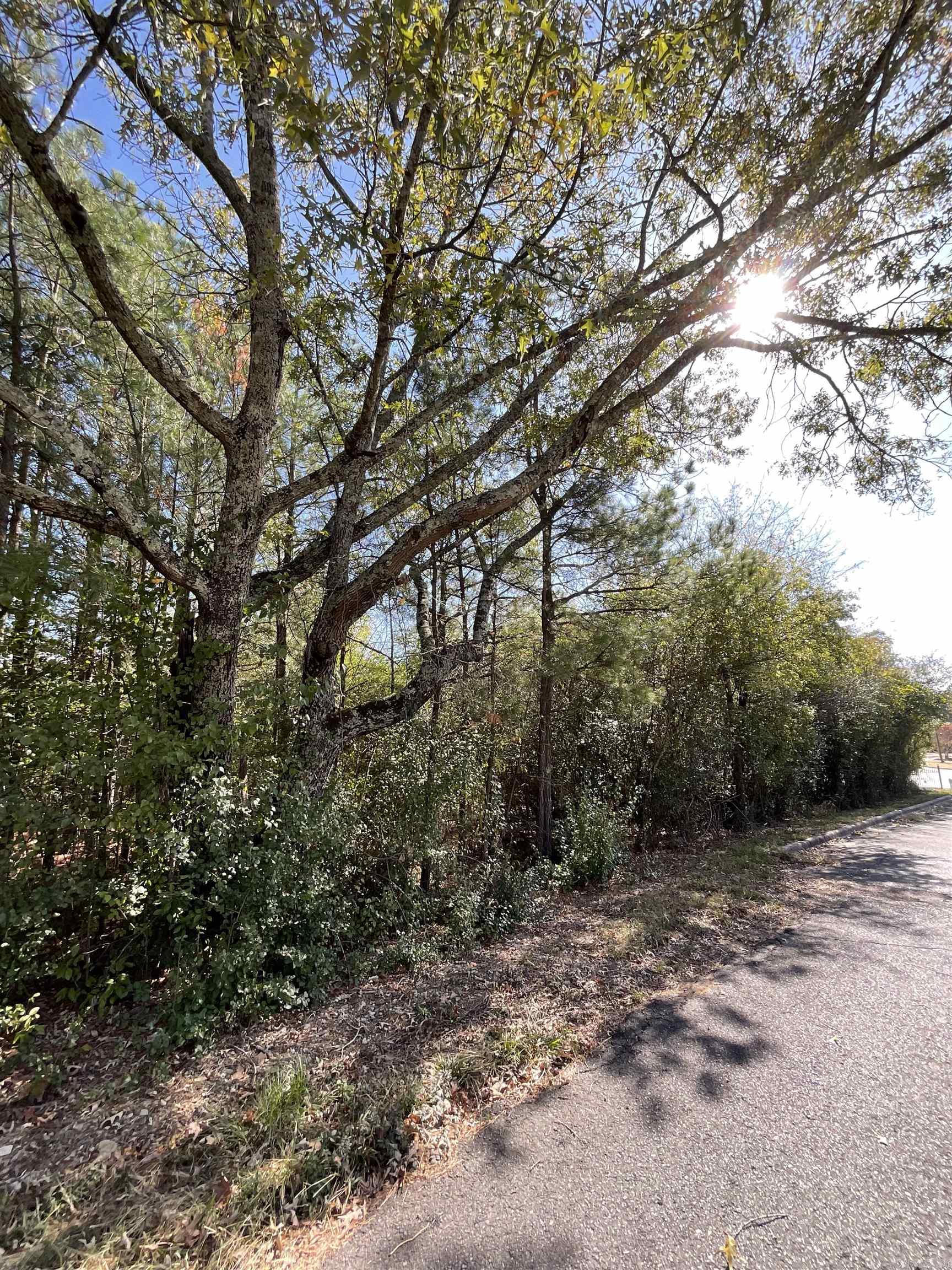 Hot Springs Unplatted - Land