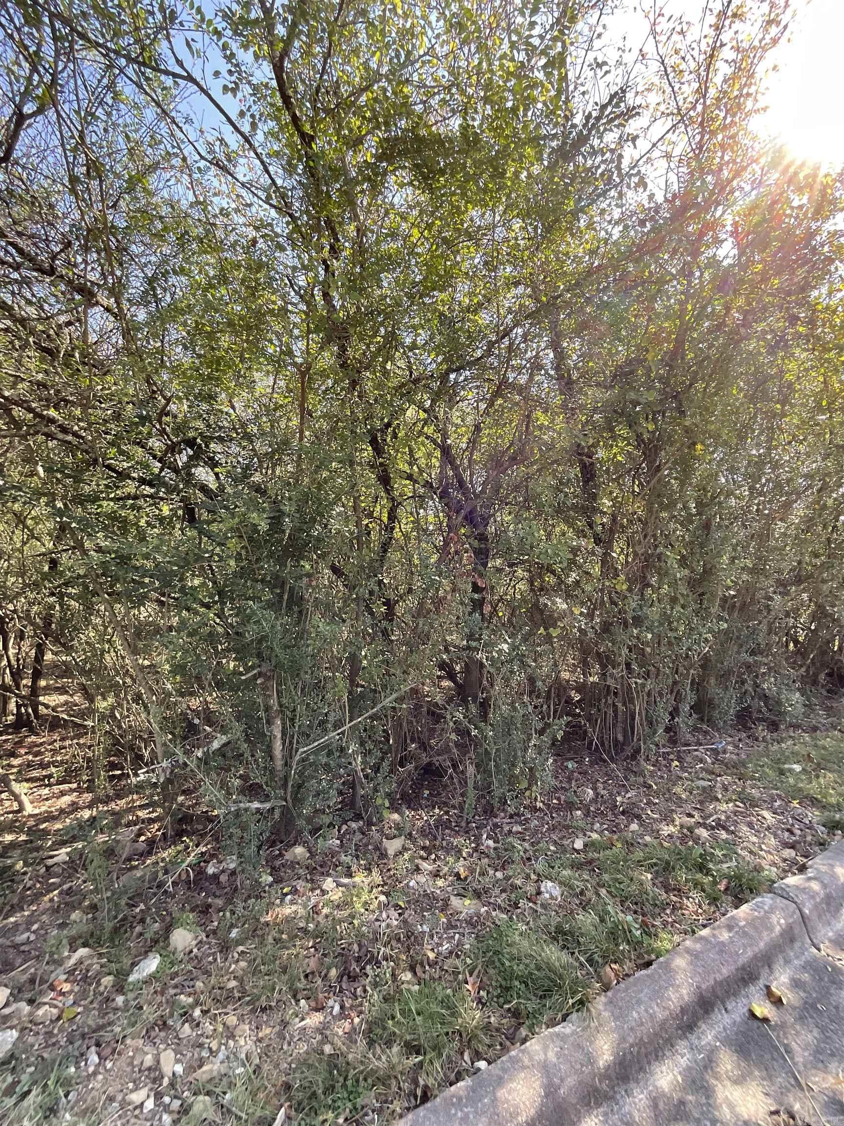 Hot Springs Unplatted - Land