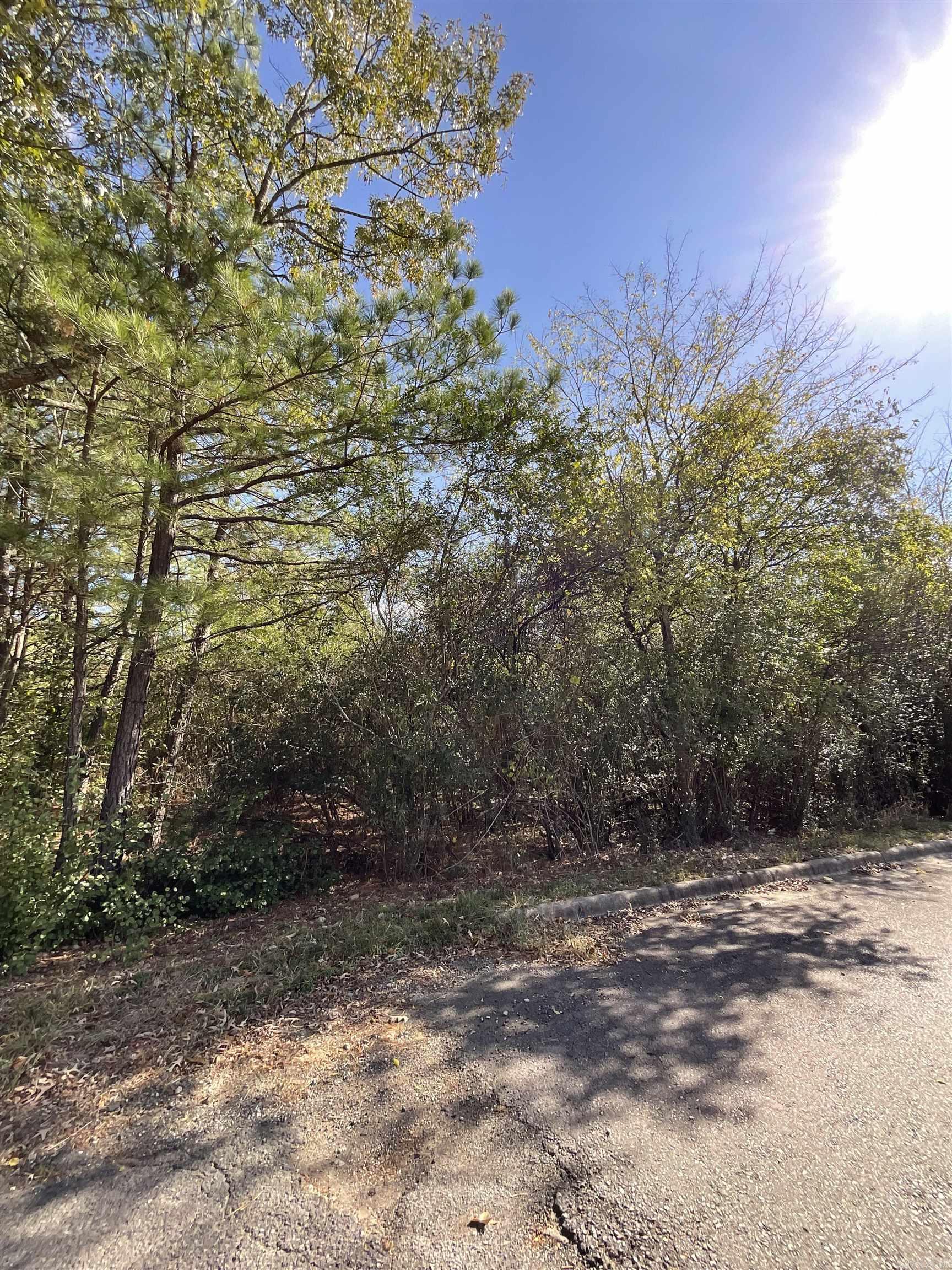 Hot Springs Unplatted - Land