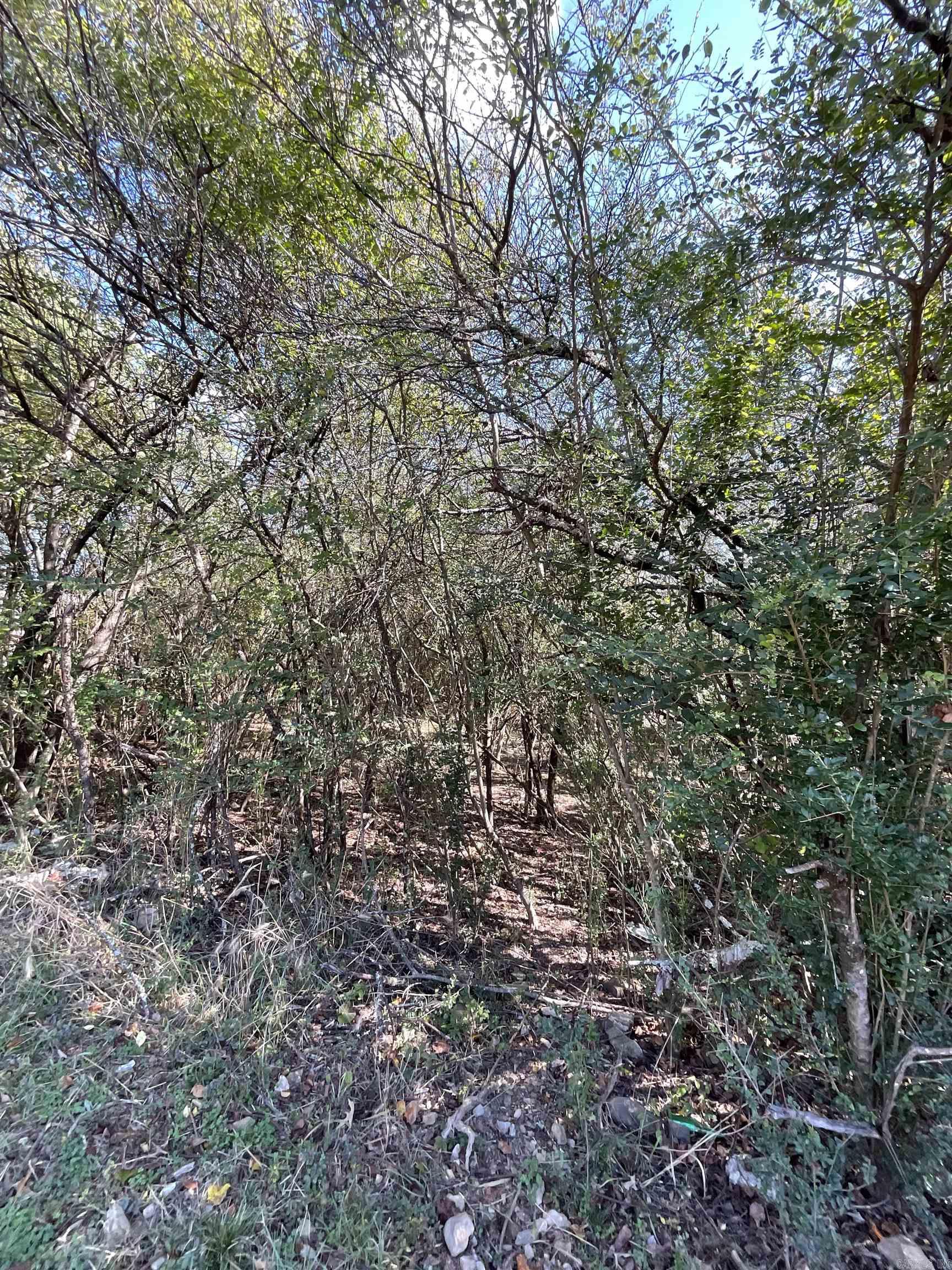 Hot Springs Unplatted - Land