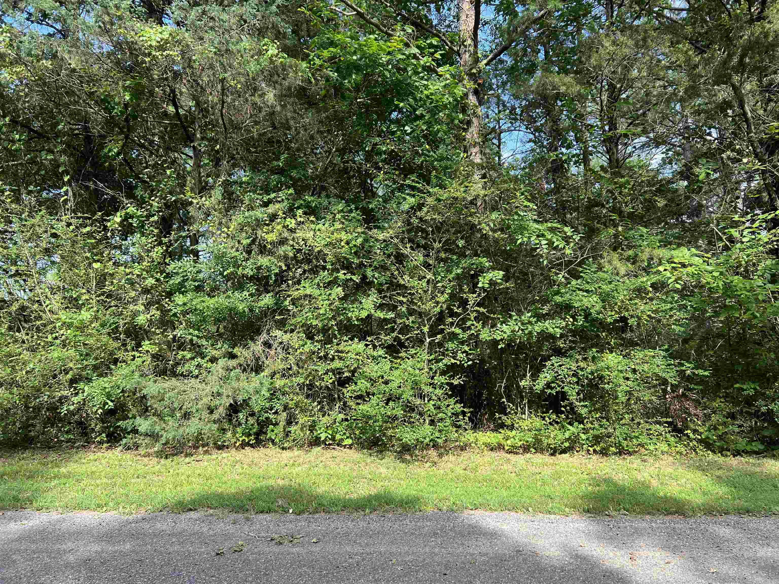 Great buildable lot in Lake Hamilton School District.