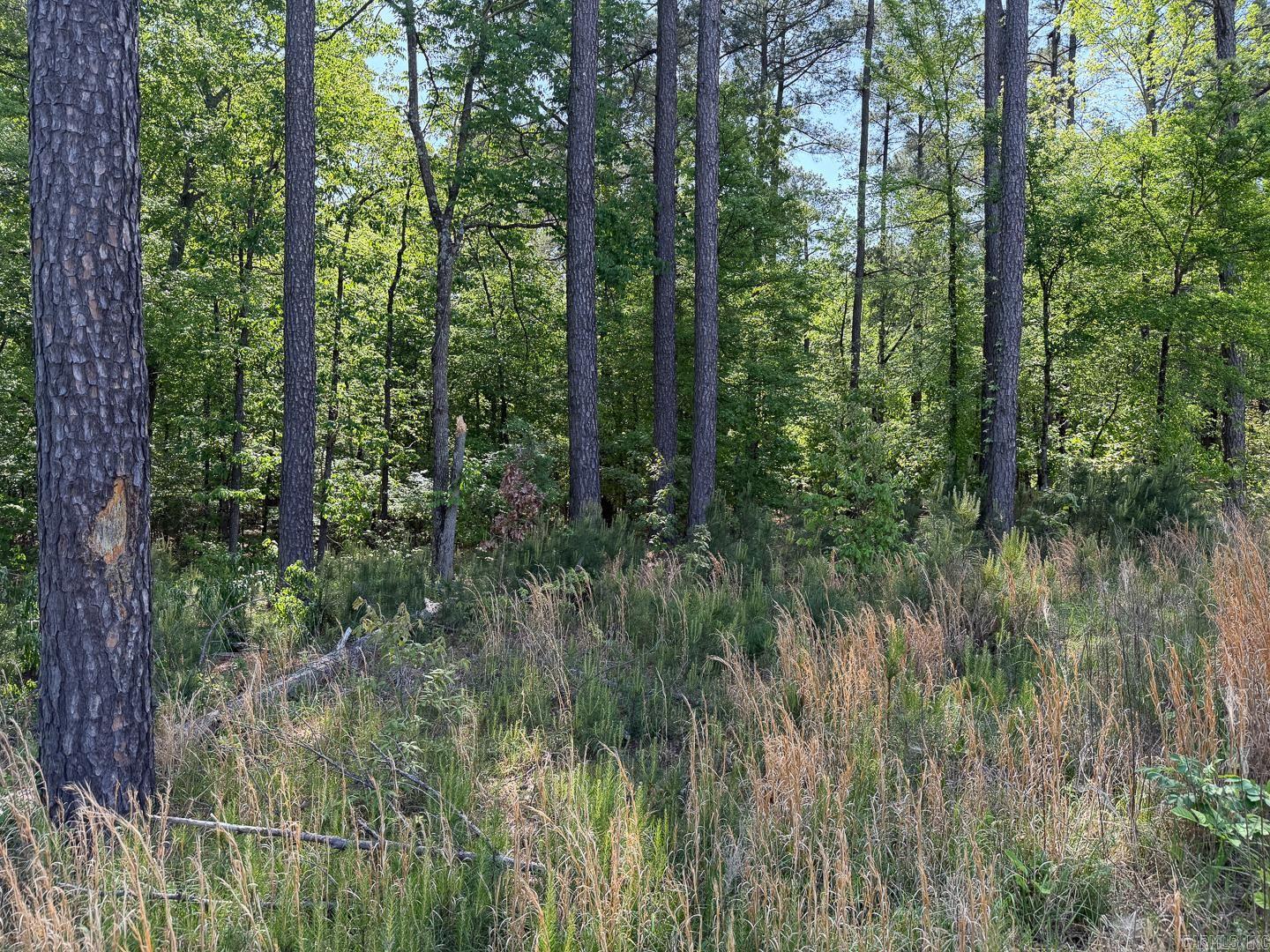 Craighead County - Land