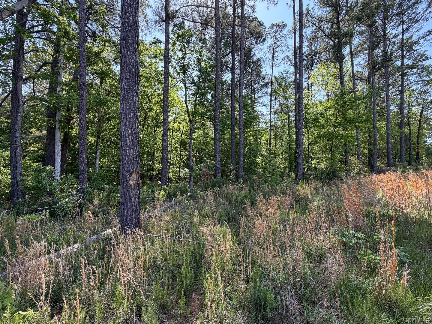 Craighead County - Land