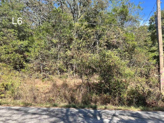 SPRINGWATER DR, CHEROKEE VILLAGE, AR 72529 - Image f9eae97a1abffa03543ef7c61d20c81d/2224989687