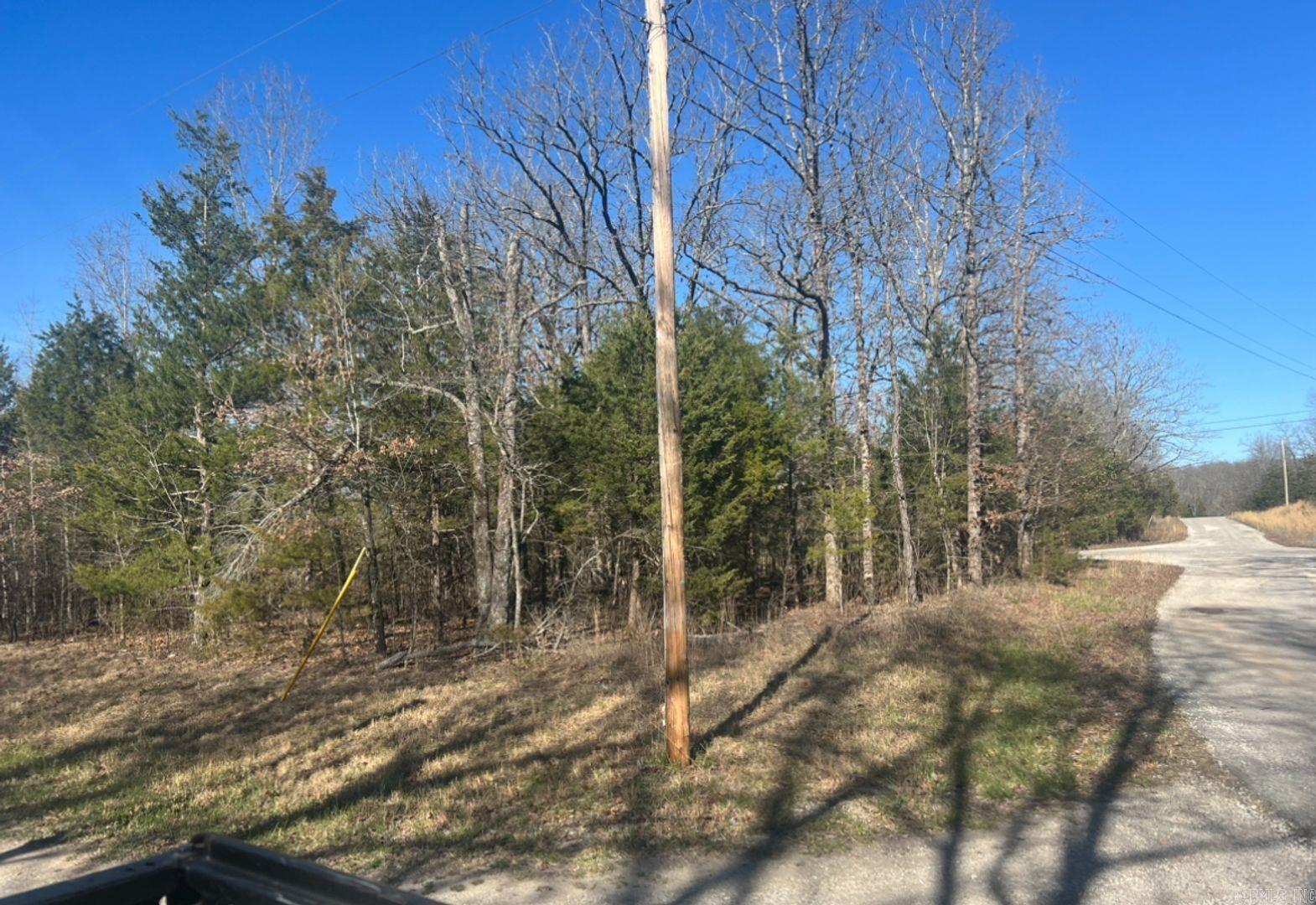 Owner Financing is available- This corner, 160x130x235 lot is walking distance to North Lake, Bass Lake and 2 parks! Come and enjoy the gorgeous view and a slower pace of life. Horseshoe Bend has so much to do for the whole family like fishing, canoeing, golfing, bowling, swimming, etc. Diamond Lake & Crown Lake are a 10-minute drive from these lots! Crown Point Resort is also 10-minutes offering local jobs and entertainment! Horseshoe Bend is also ATV friendly, with a permit. They have their own law enforcement, a private airport/airport strip, recycling center, and TELECARE program for the elderly. All within 10-minutes!