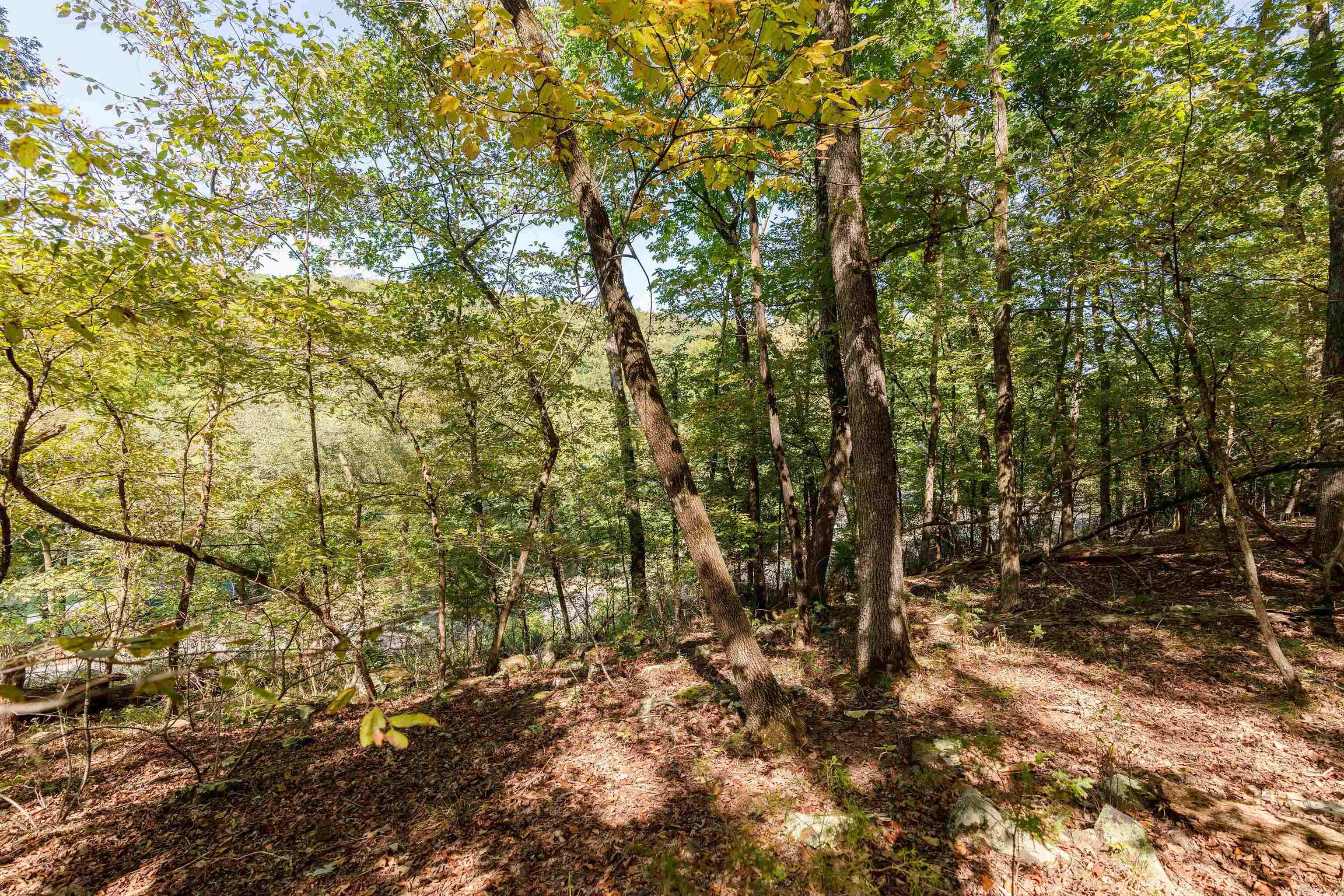 00-10-09 River - Land