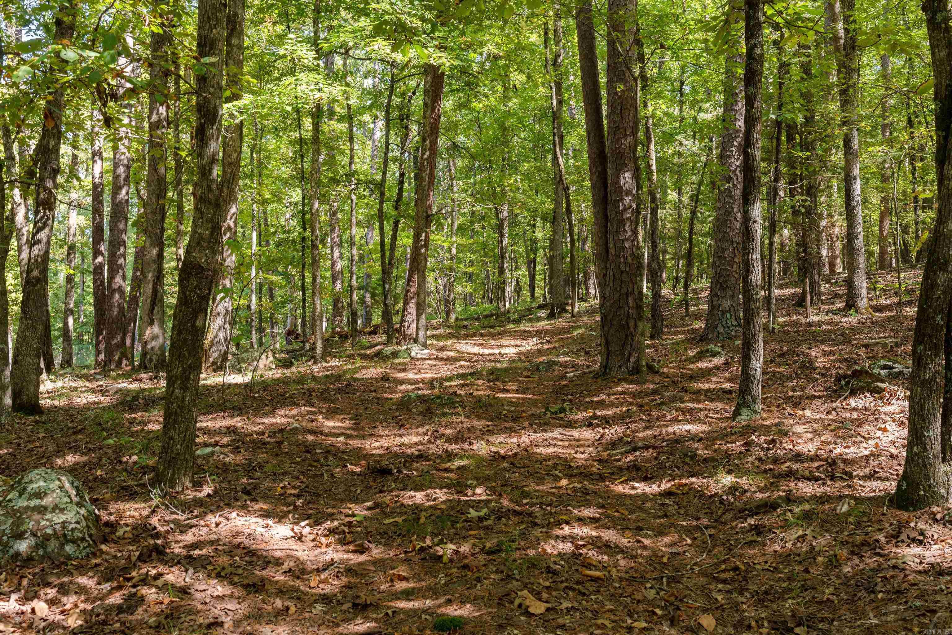 00-10-09 River - Land