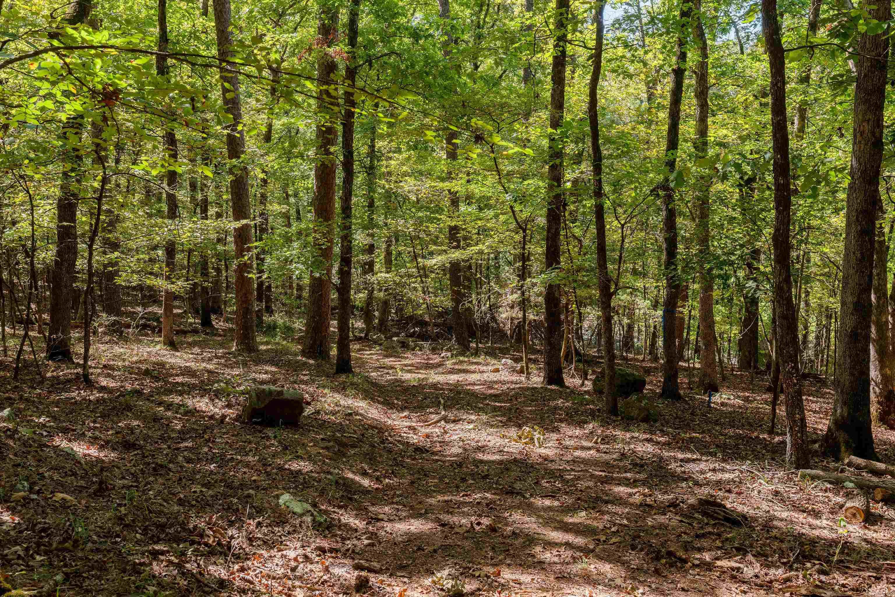 00-10-09 River - Land