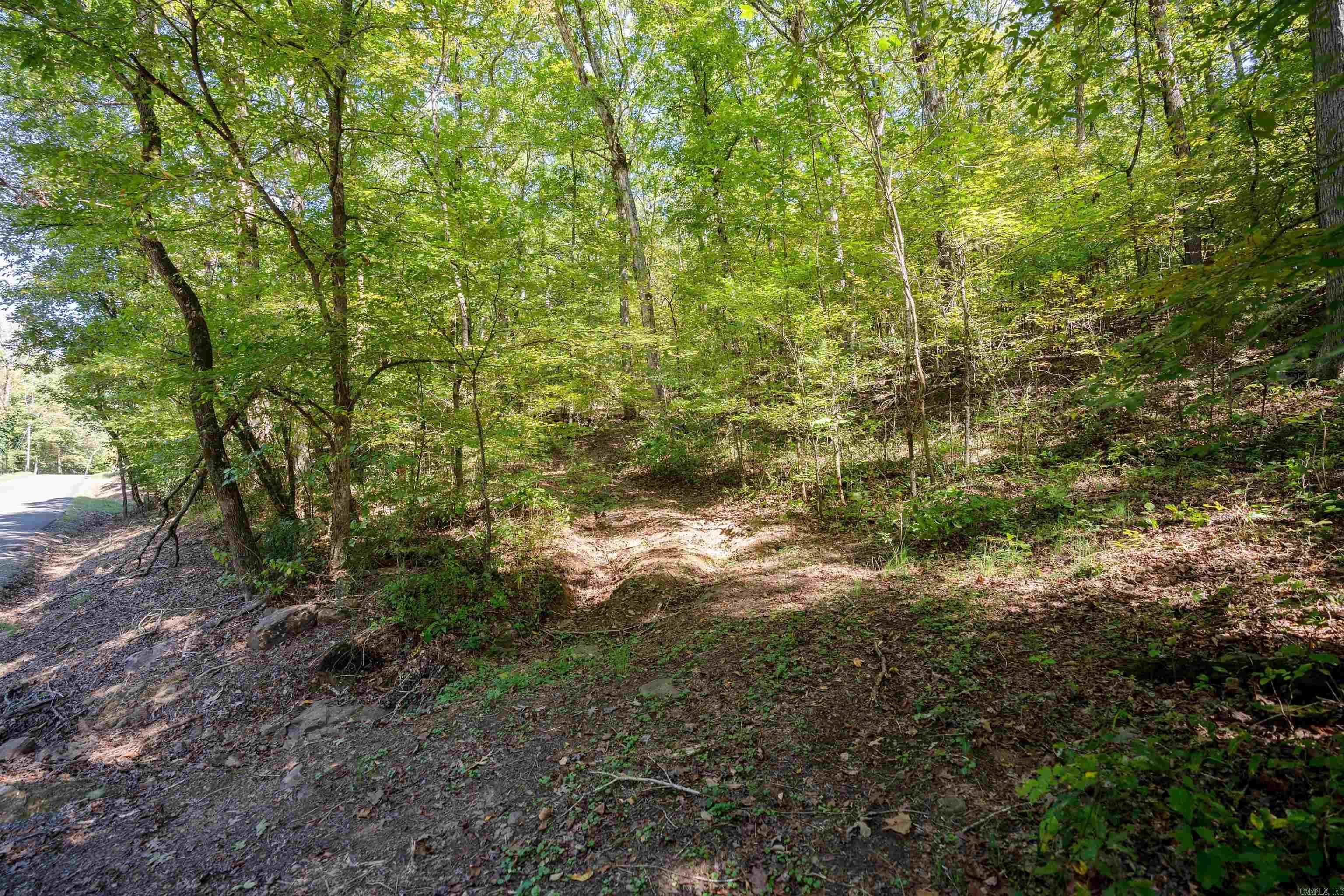 00-10-09 River - Land