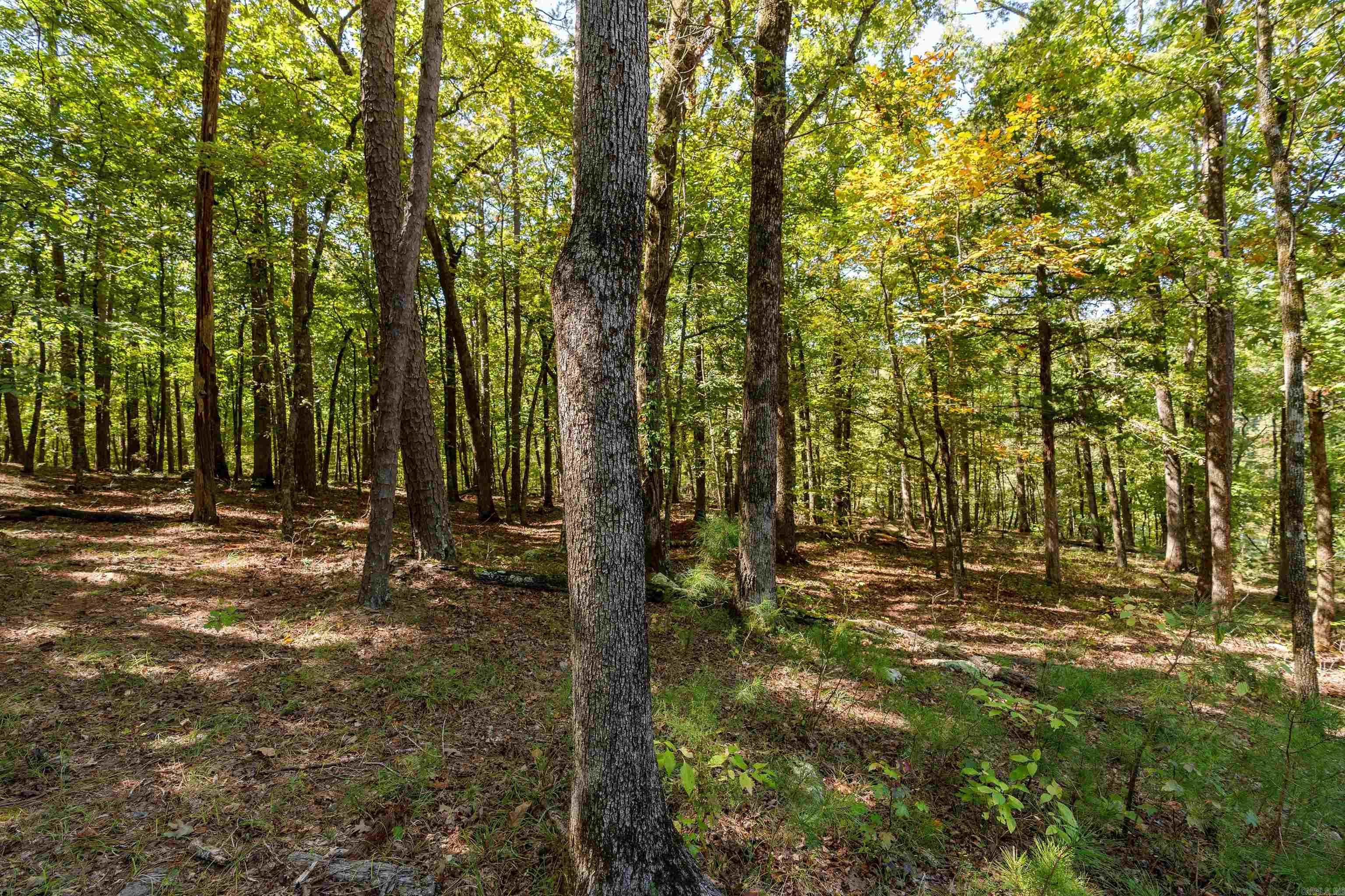 00-10-09 River - Land