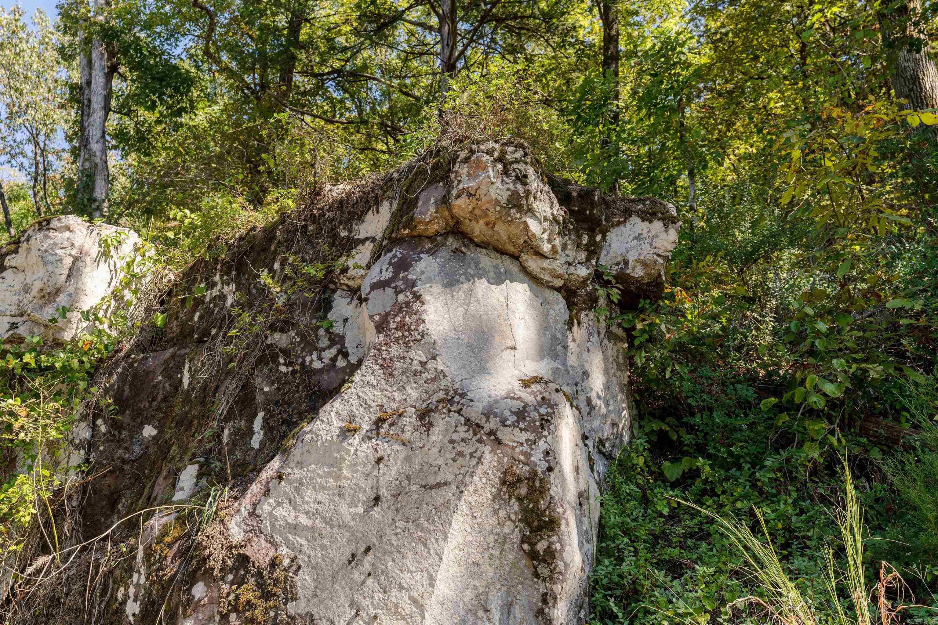 00-10-09 River - Land