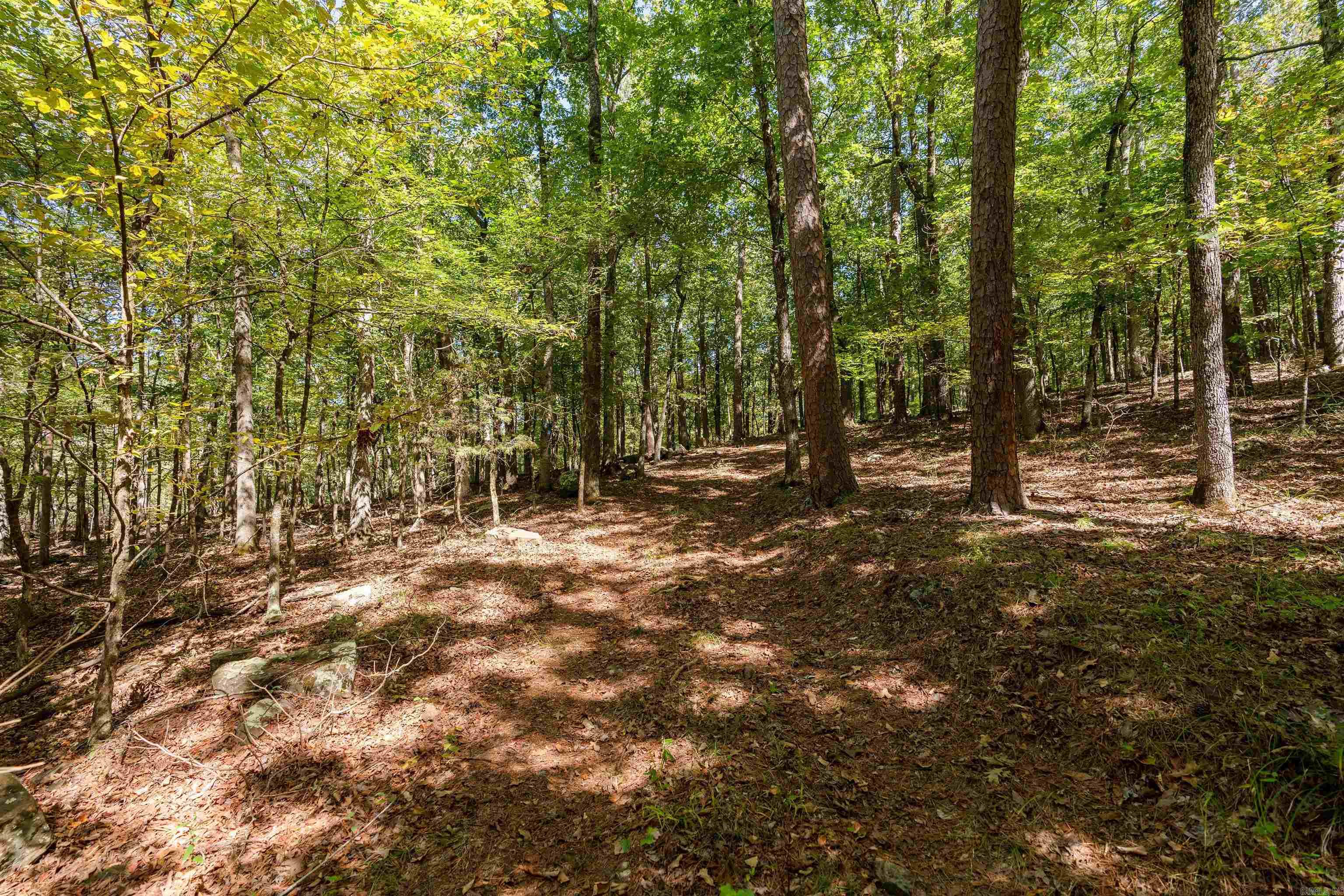 00-10-09 River - Land