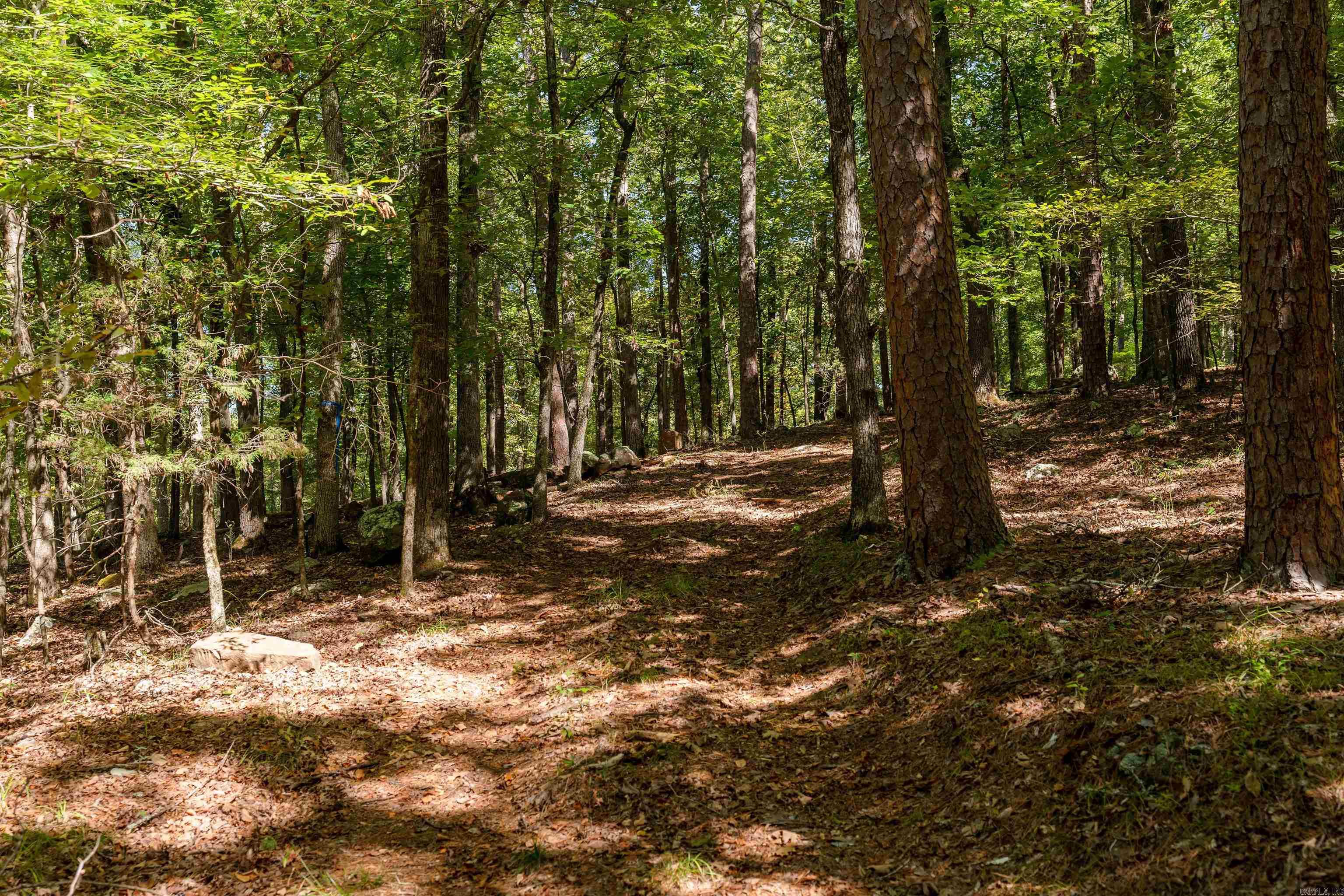 00-10-09 River - Land