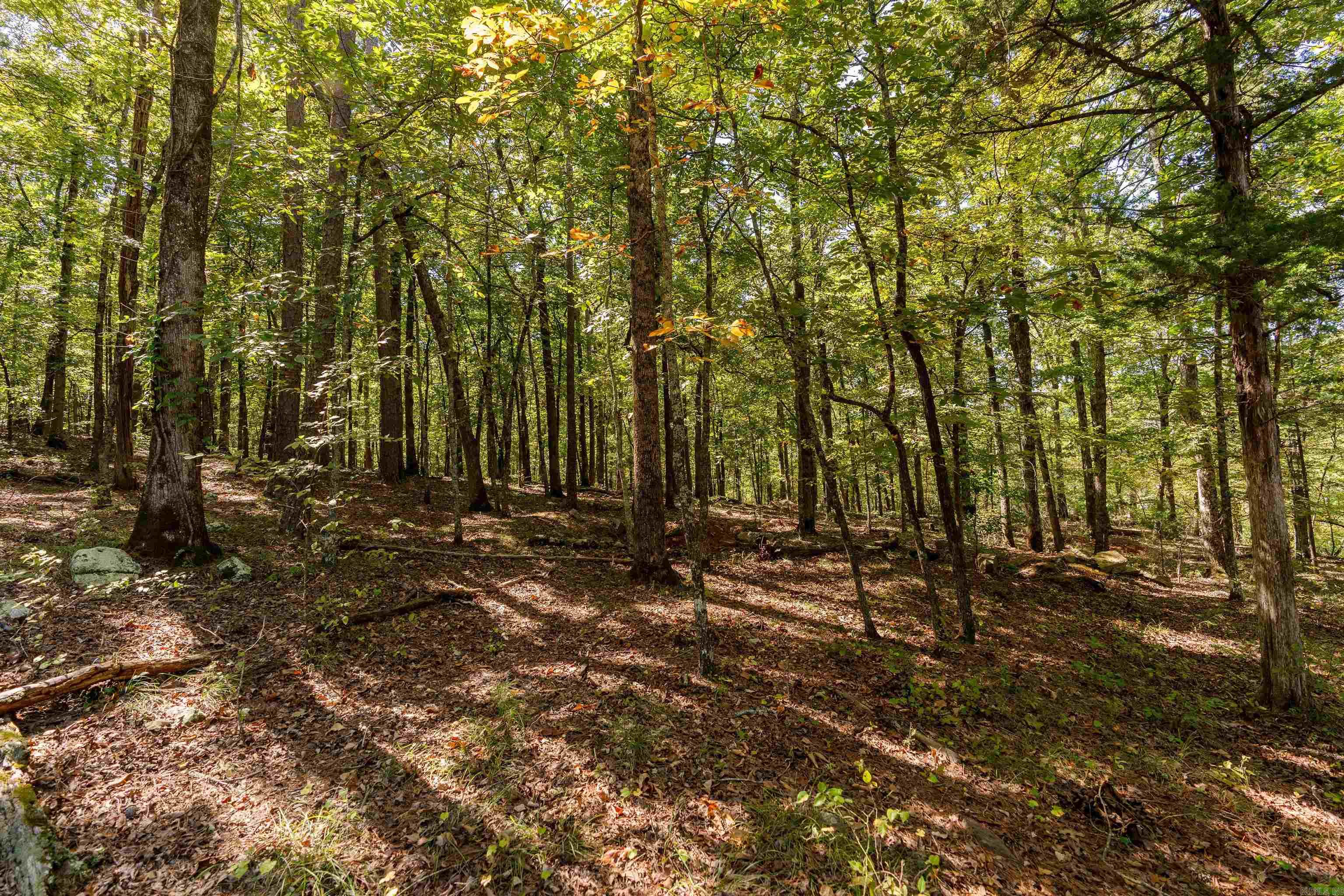 00-10-09 River - Land