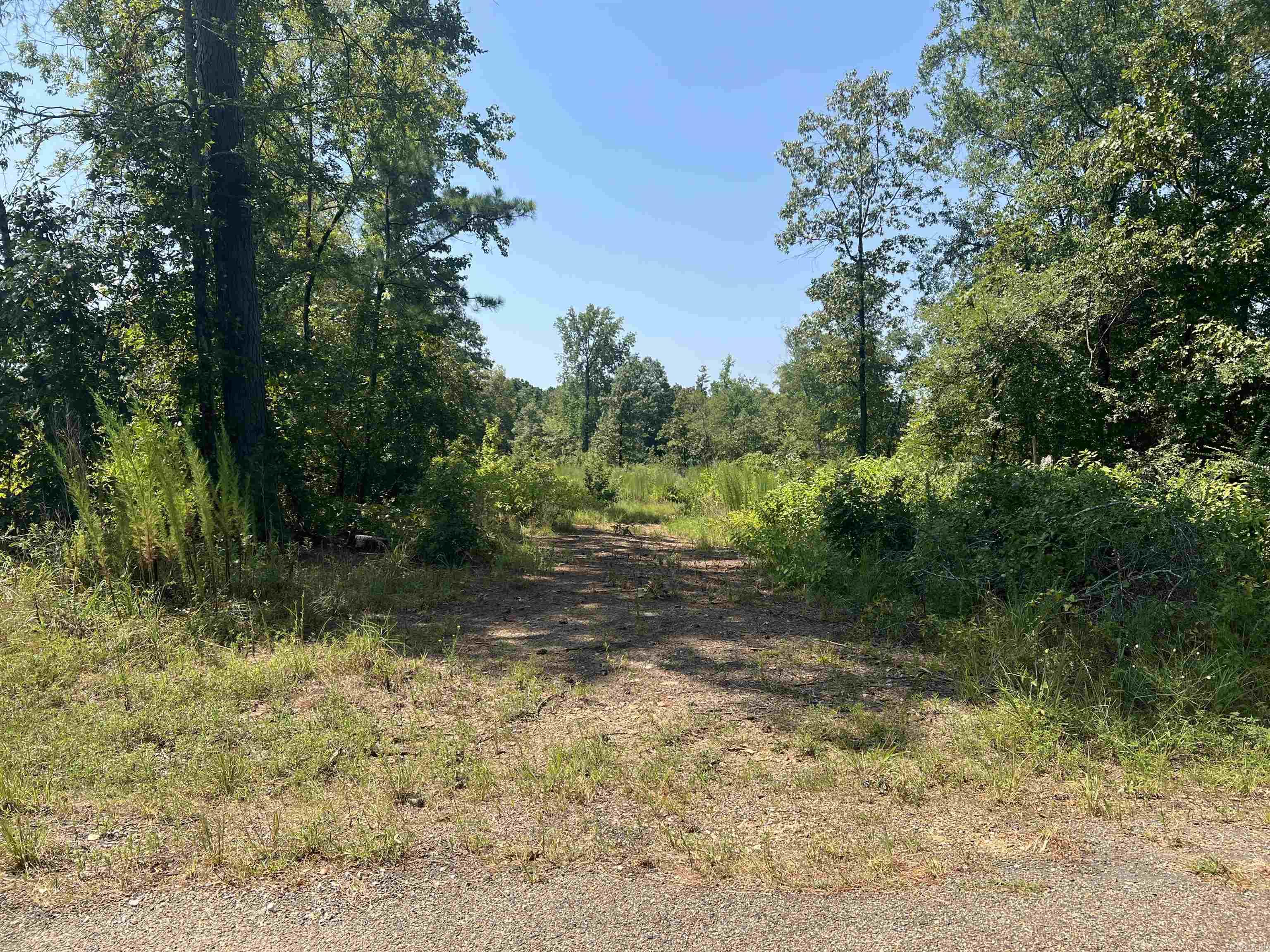 11.5 wooded acres in Bismarck School District. Water and electricity are at the road. Just minutes to Lake DeGray