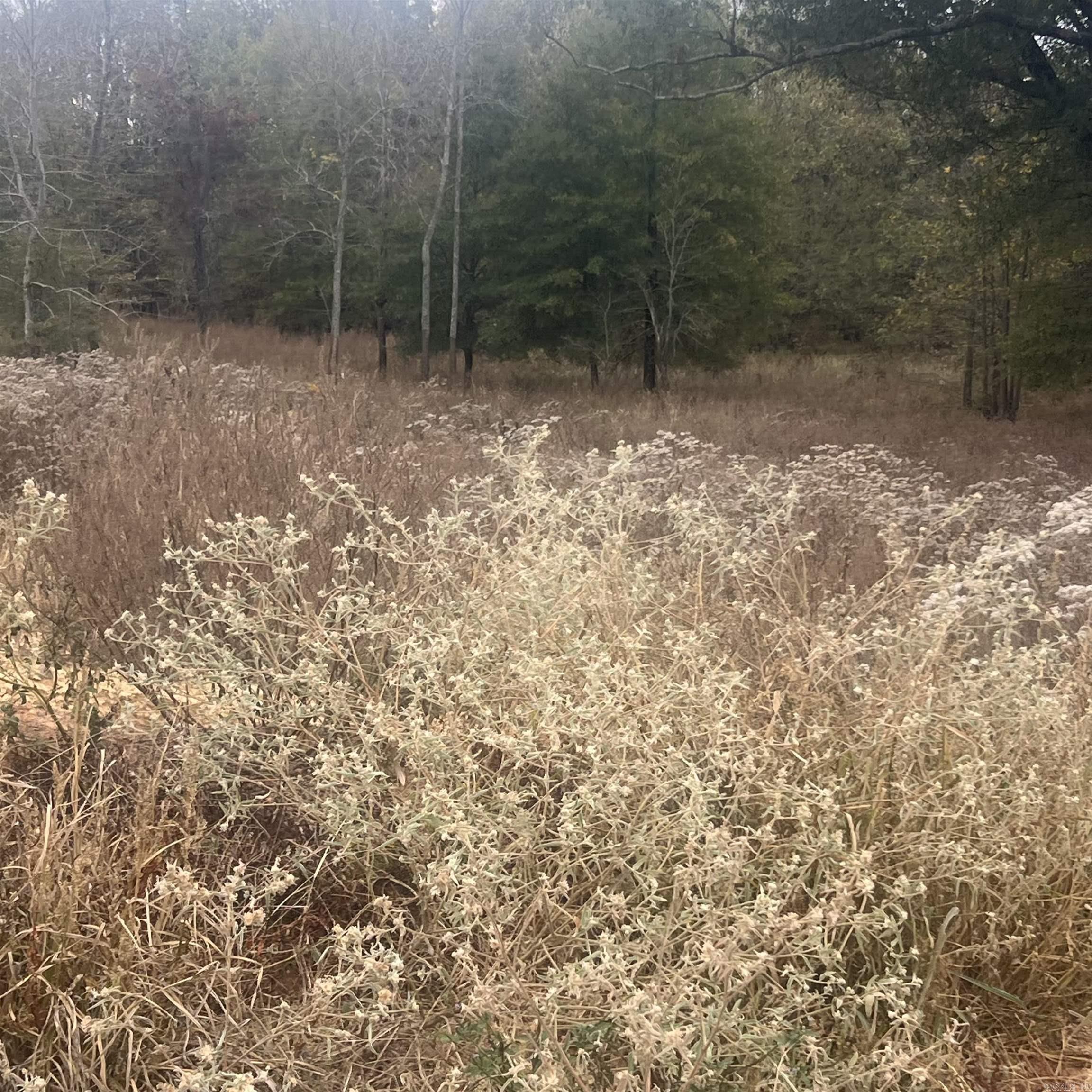 COUNTRY CLUB OF ARK THE - Land