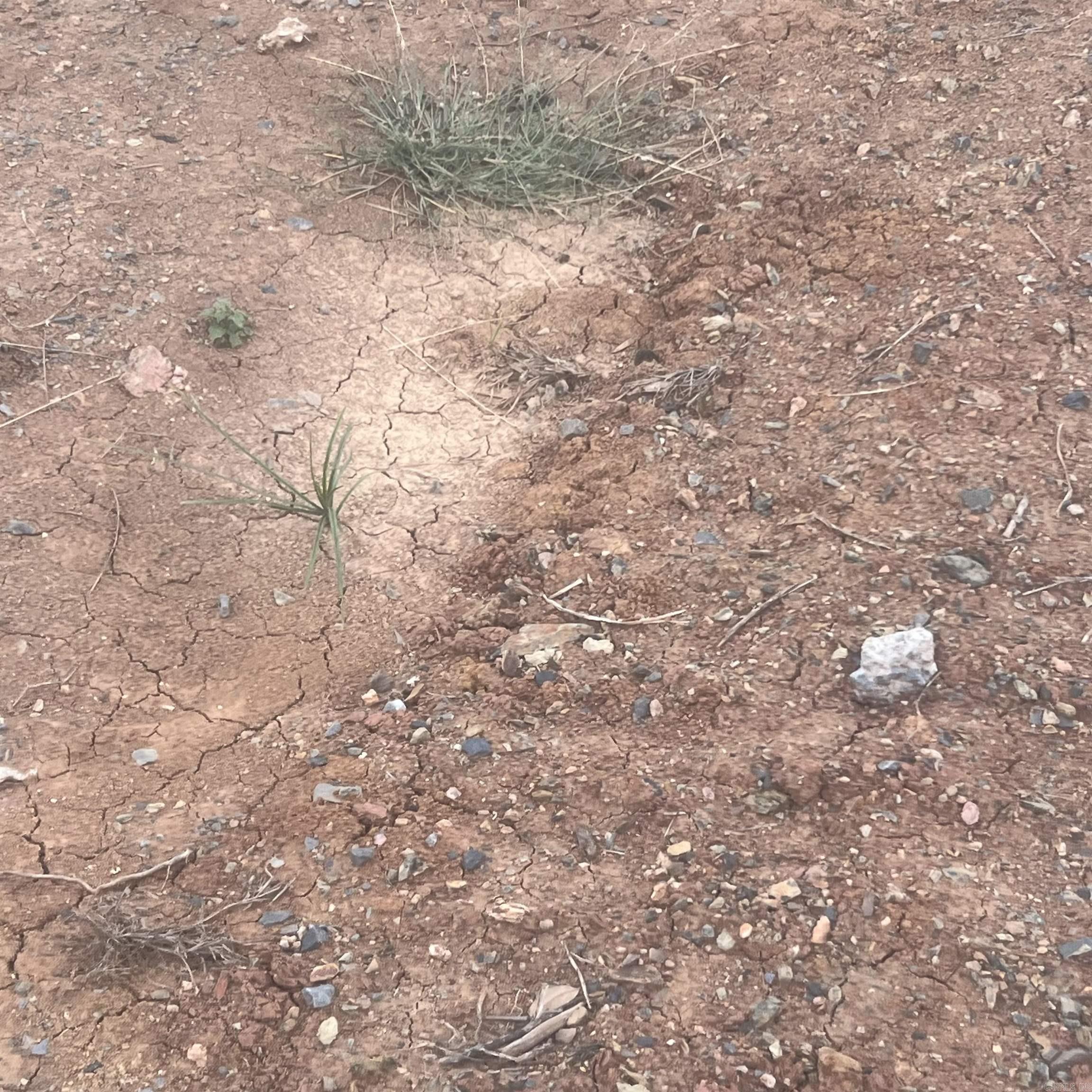 COUNTRY CLUB OF ARK THE - Land