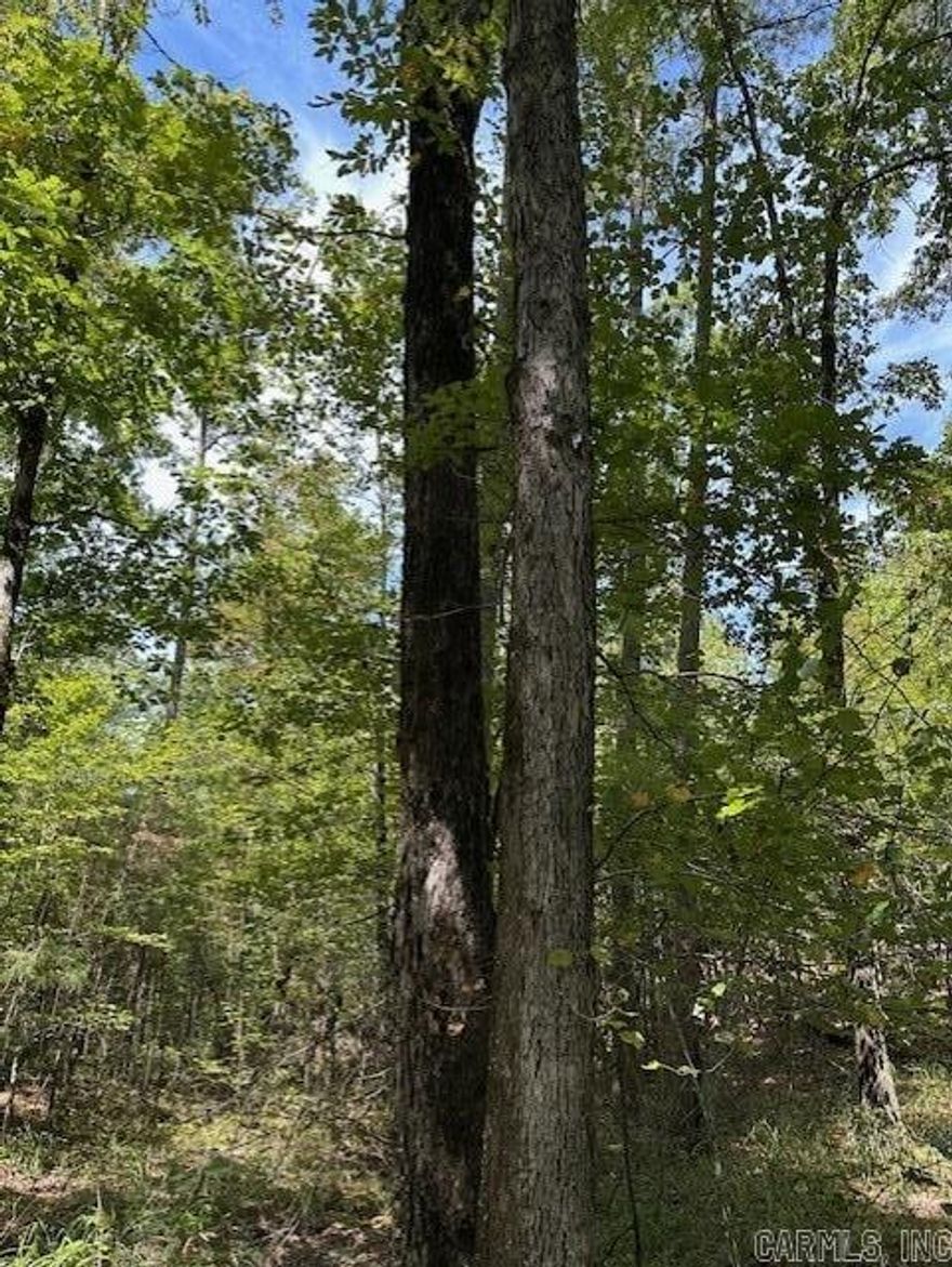 Approximately 40 acres of timberland with easement access from Ross Hollow Road. The property features mature, harvestable hardwoods and abundant wildlife, making it an excellent opportunity for hunting, recreation, or a private retreat. Conveniently located approximately 25 minutes from the intersection of Highway 10 and Highway 300, offering both privacy and reasonable accessibility. Access is provided by a 50-foot-wide easement allowing ingress, egress, and utilities.