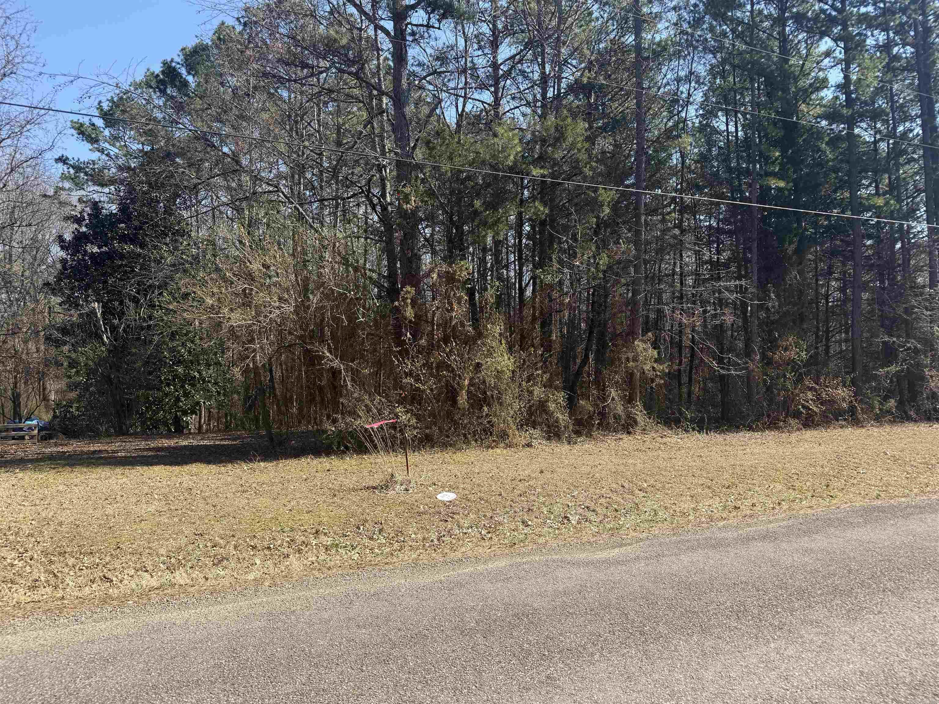 Red River Valley II - Land