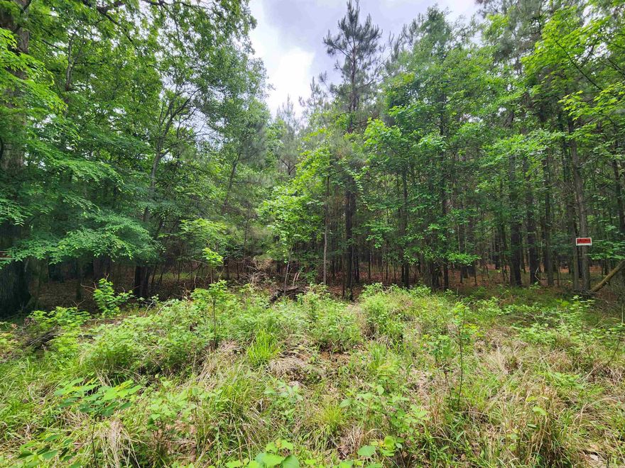 Here's your chance to own Over 57 Acres of woods in the city and conveniently located for Building your new dream home with lots of privacy and full of natural habitat. It Has old 4-wheeler trails throughout it. Access to city water, electricity and natural gas.  Great property for development!! 17-year-old Pine Timber is ready for its first thinning!!