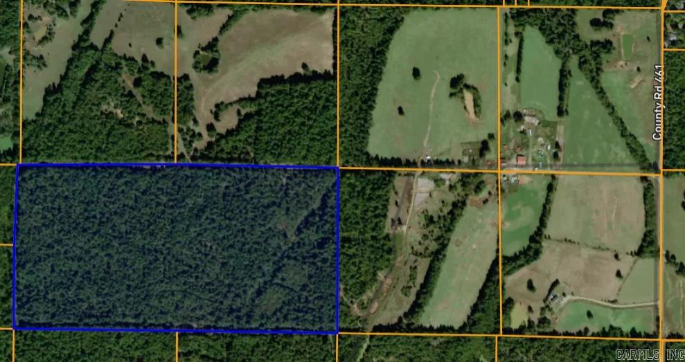 A hunter's paradise! 80 acres of timber and vegetation with plenty of active wildlife. This lot is priced to sell with an additional 40 acres of pasture and partial timber (Tax ID:061-01926-001) land for a total of 120 acres!
