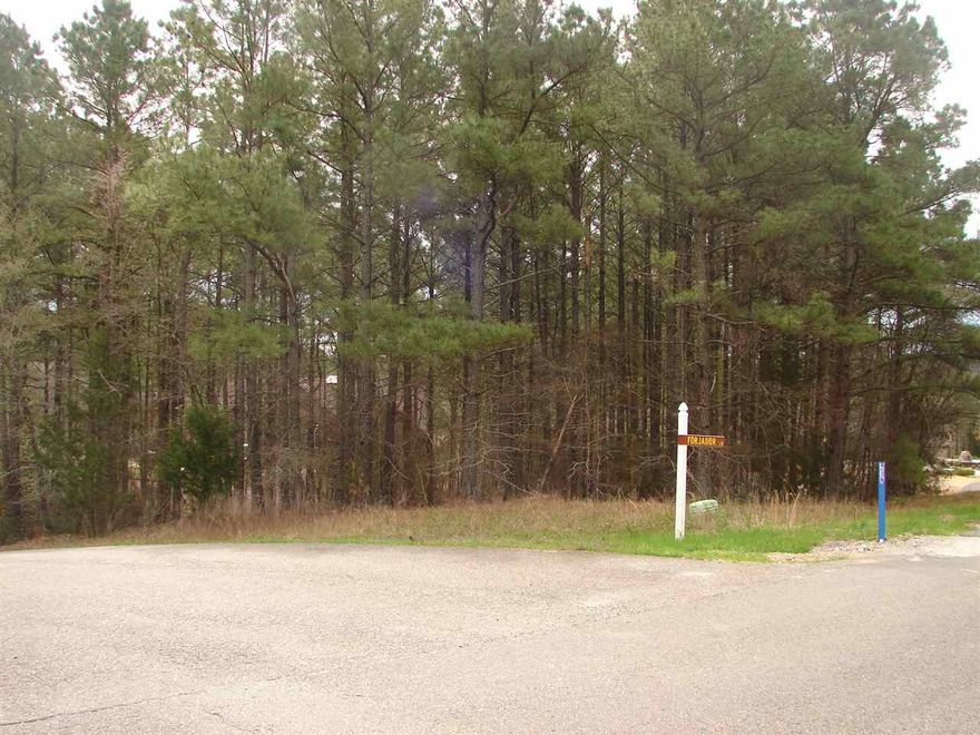 GREAT LOCATION FOR YOUR DREAM HOME.  164 FEET ON THE STREET.  ISABELLA GOLF COURSE RIGHT OUT THE BACK.  THIS IS A NICE PROPERTY FOR $4,900...CALL RIGHT AWAY