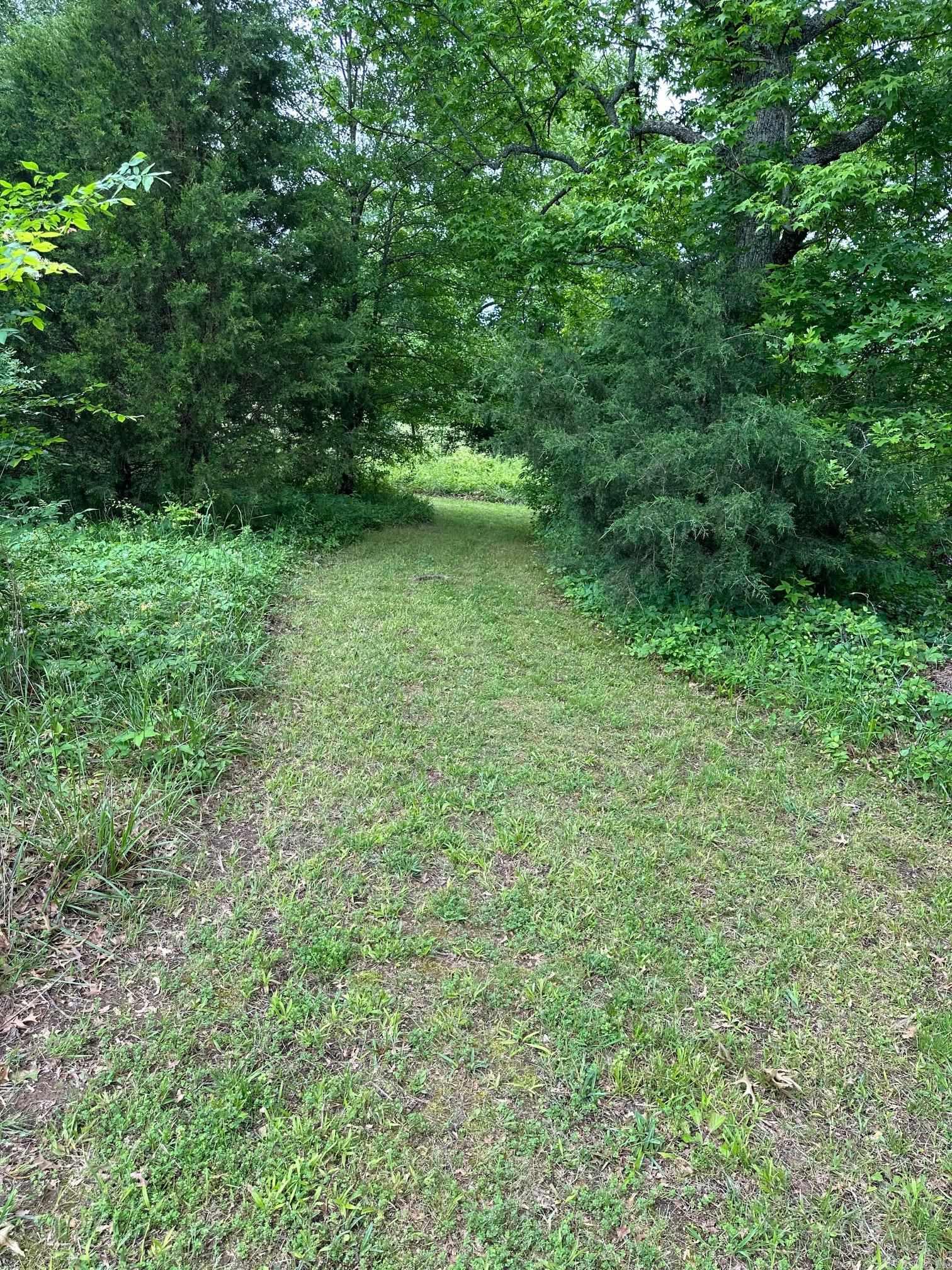 BLACK OAK RANCH ESTATES - Residential