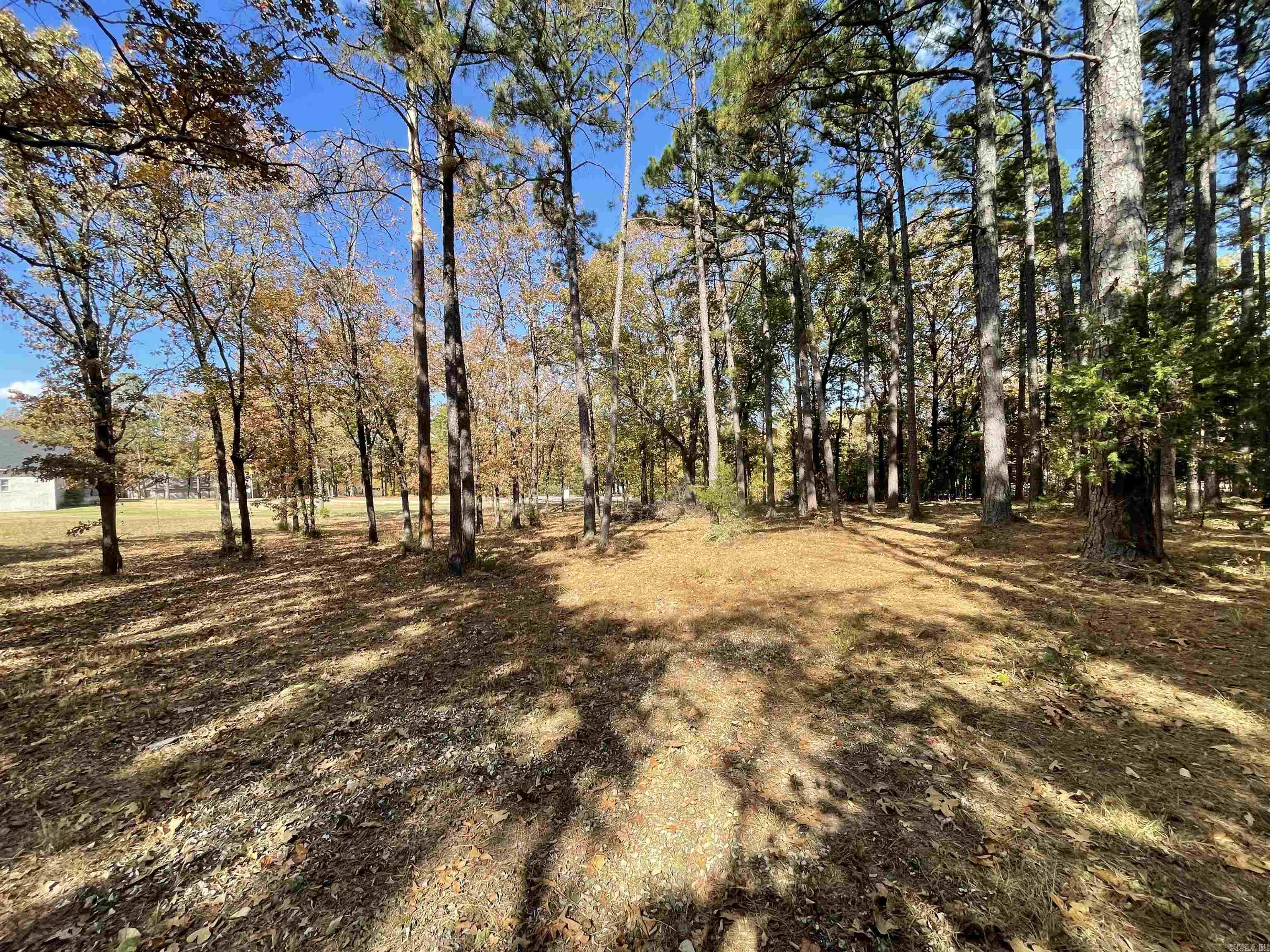 Round Mountain - Land